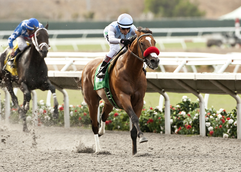 Goldencents wins 2014 Pat O'Brien