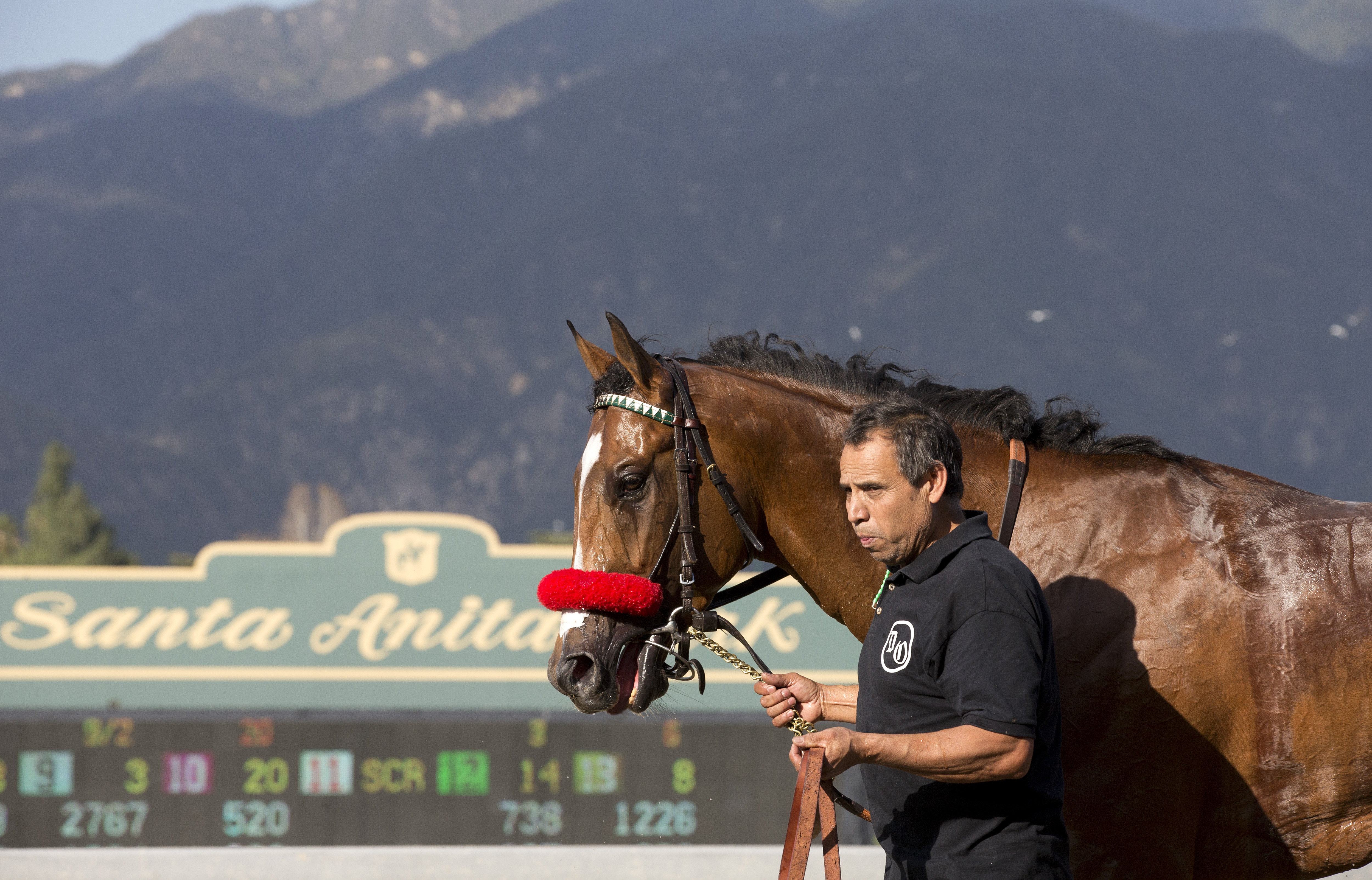 Goldencents