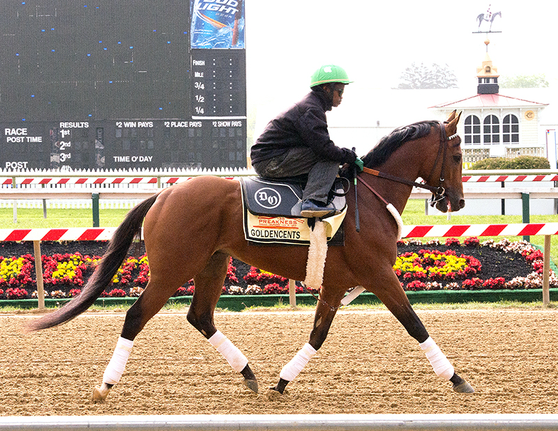 Goldencents at Pimlico, May 9