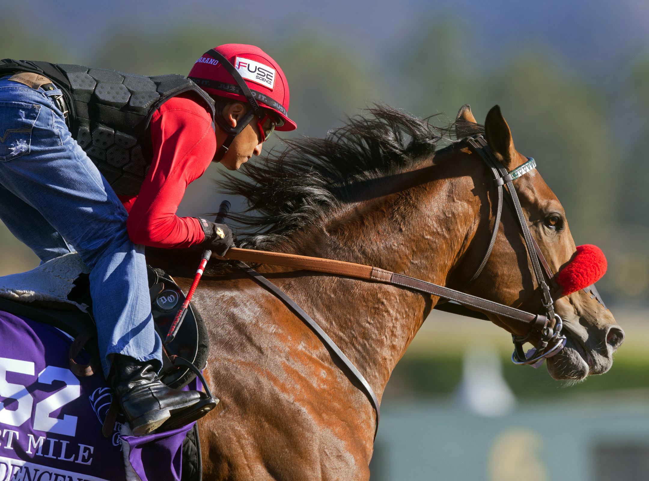 Goldencents training at Santa Anita