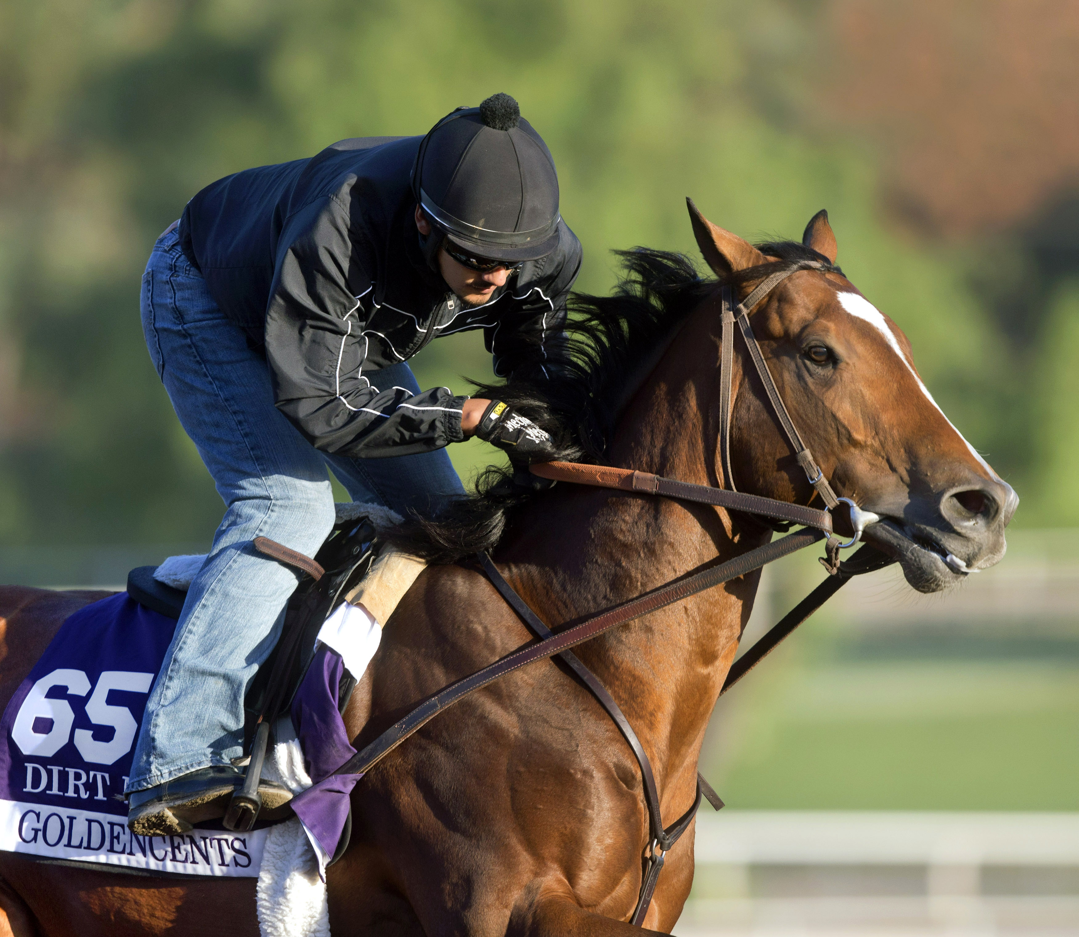 Goldencents at Santa Anita on Oct. 28