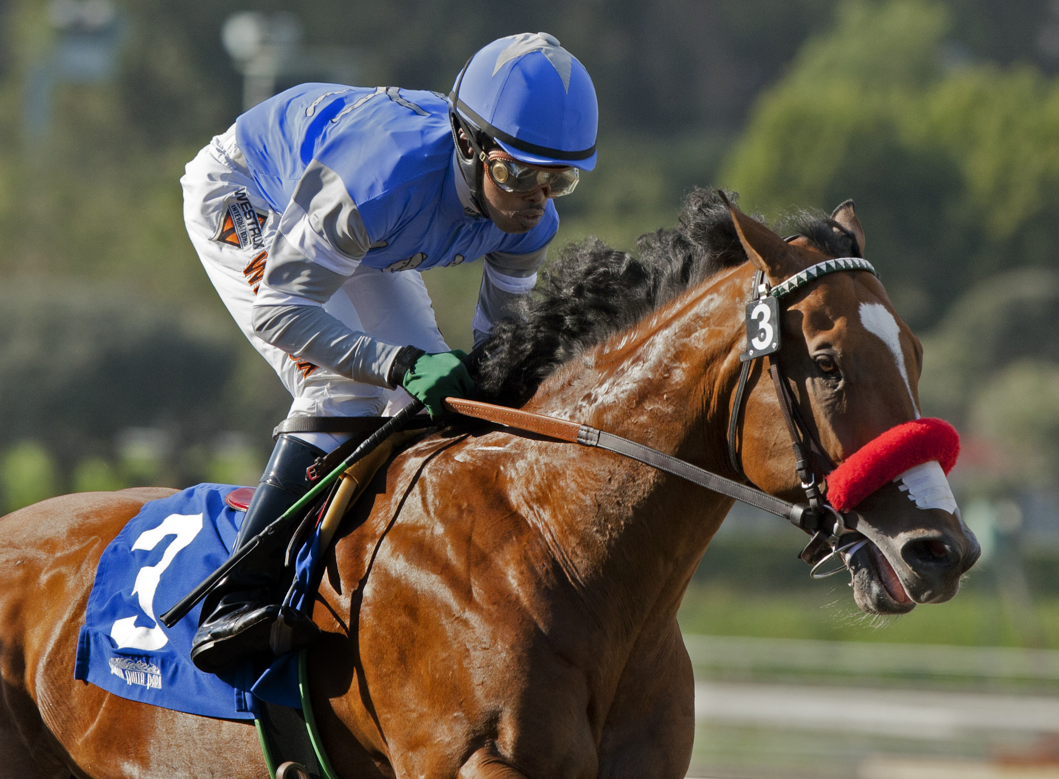 Goldencents, San Felipe