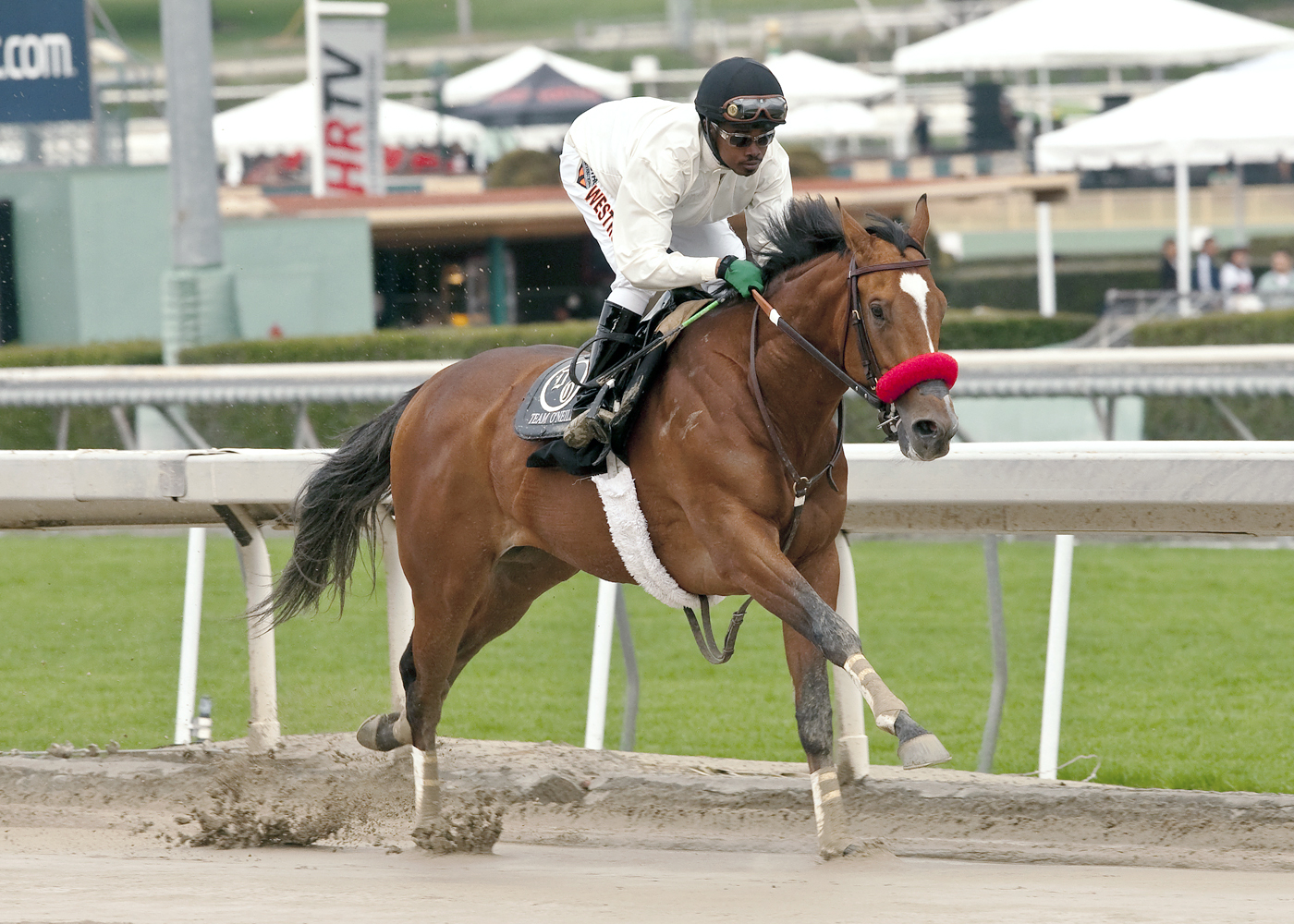 Goldencents working