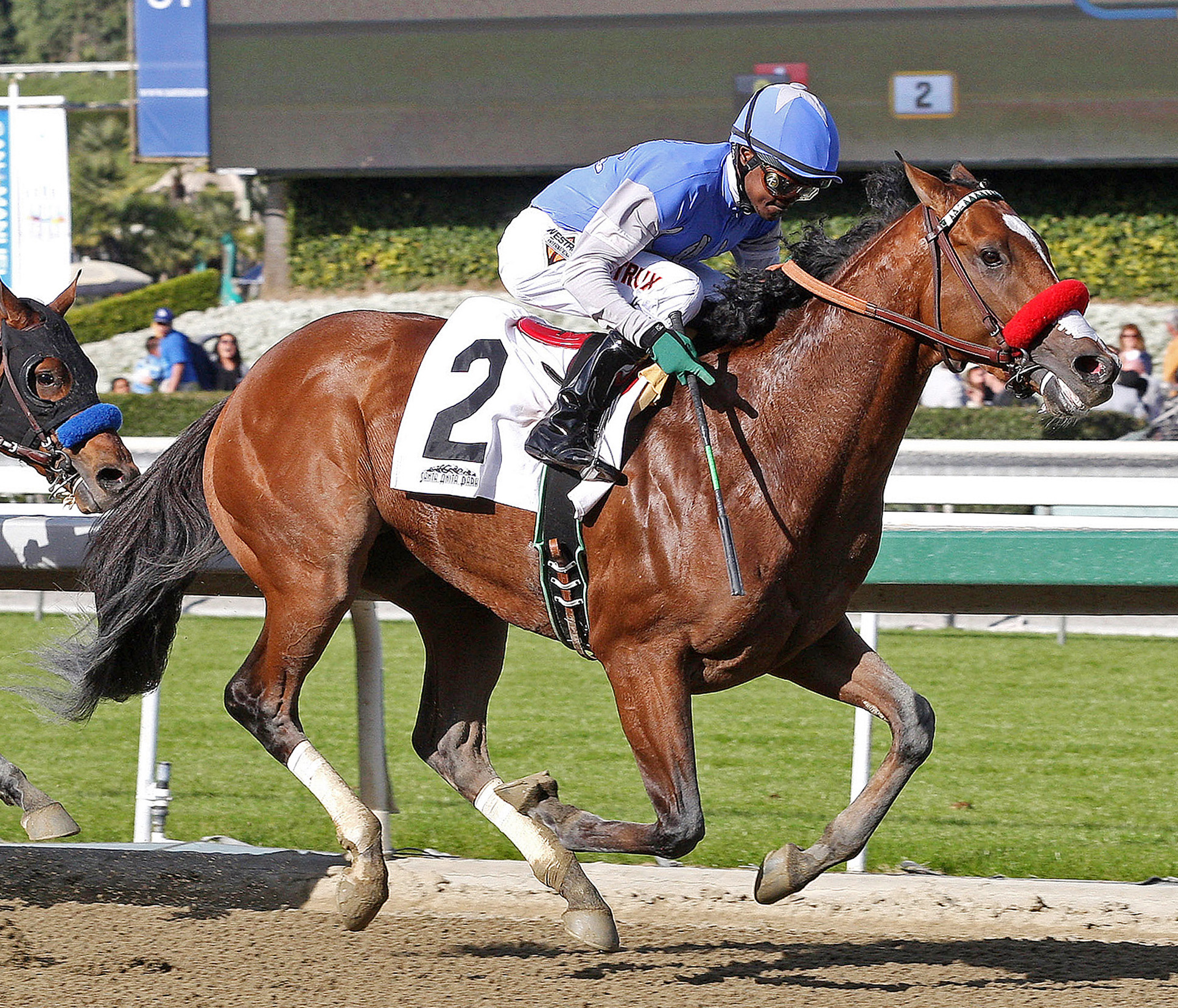 Goldencents, Sham Stakes