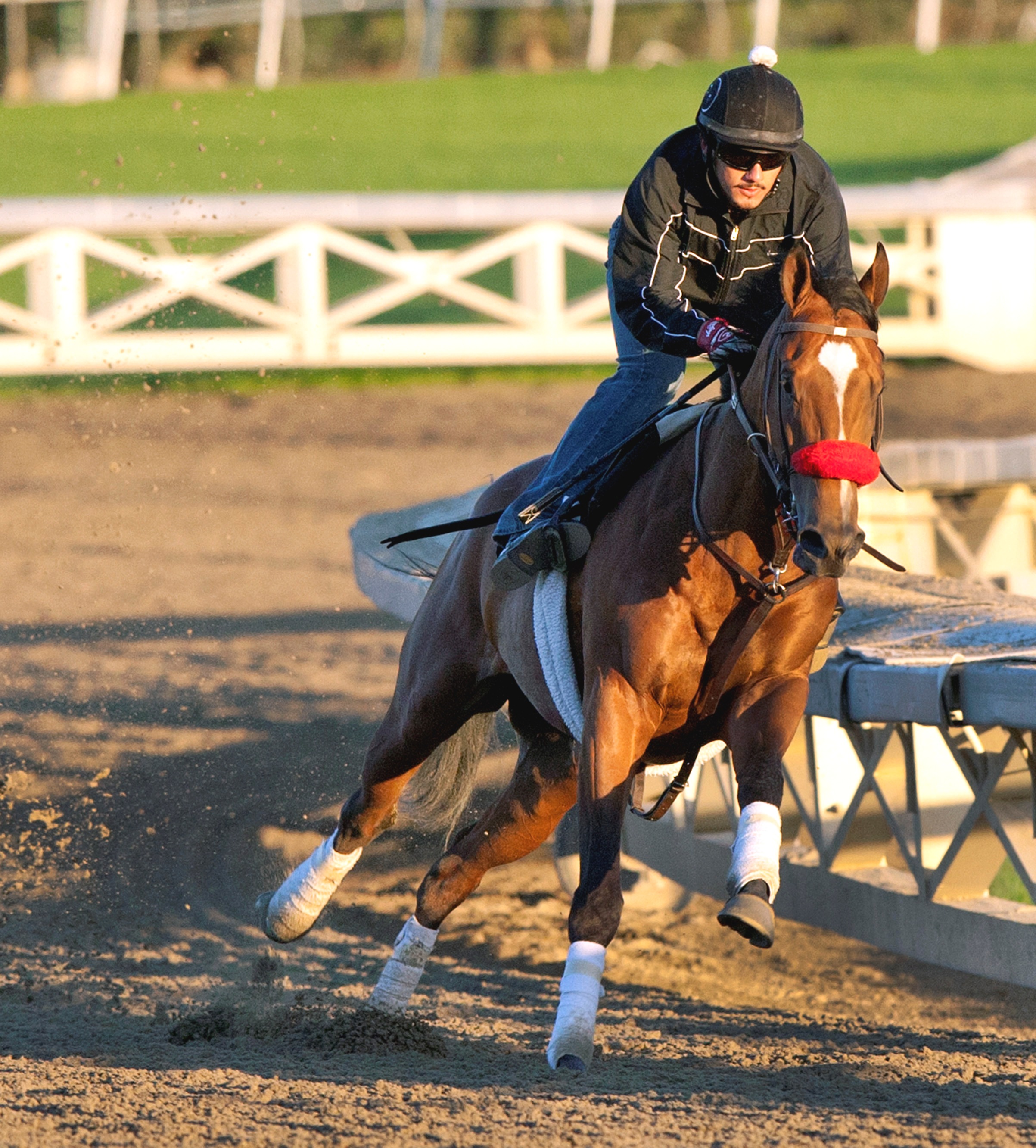Goldencents, March 2, 2013