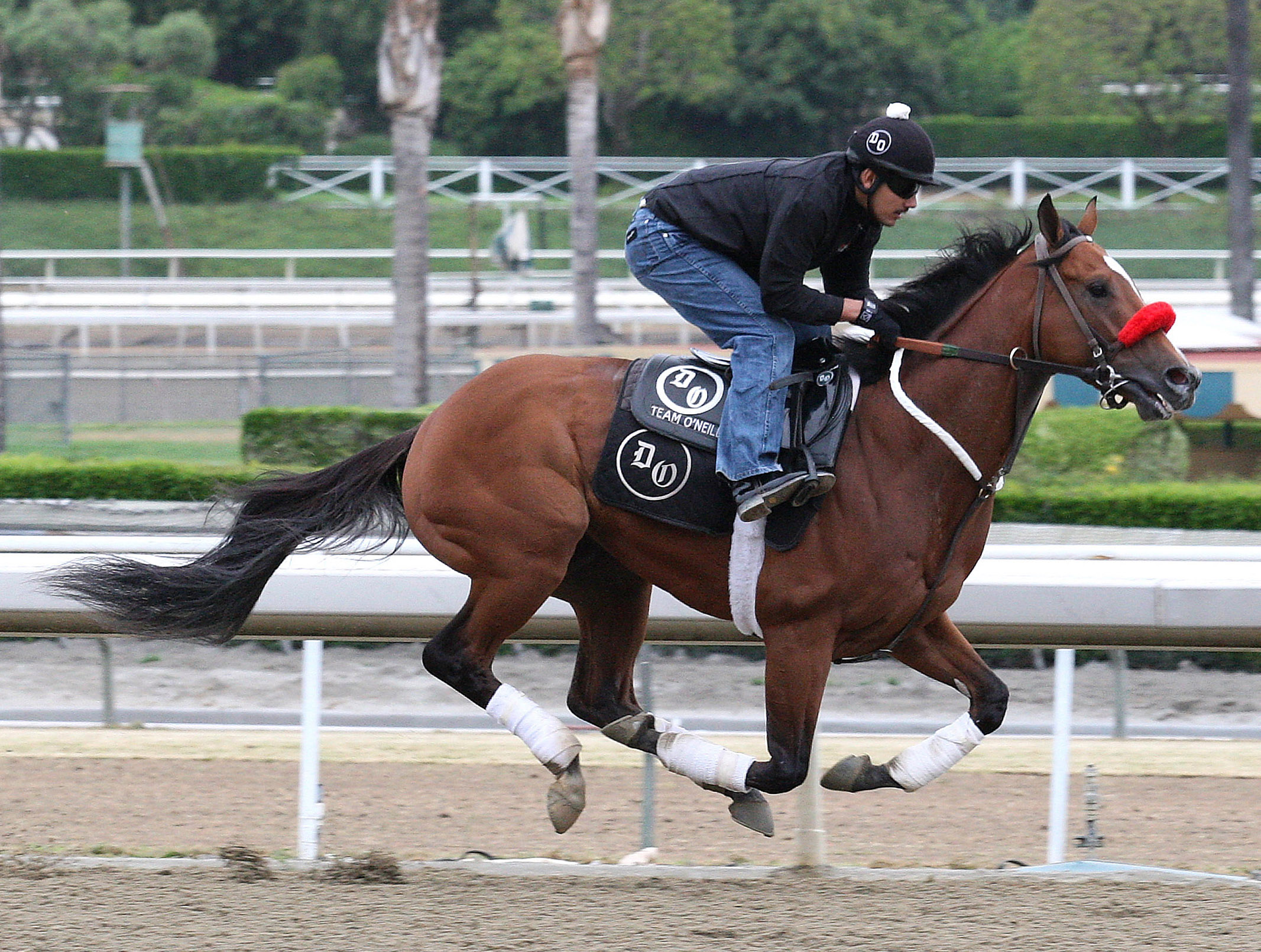 Kentucky Derby: Goldencents breezes slow six furlongs at Santa Anita
