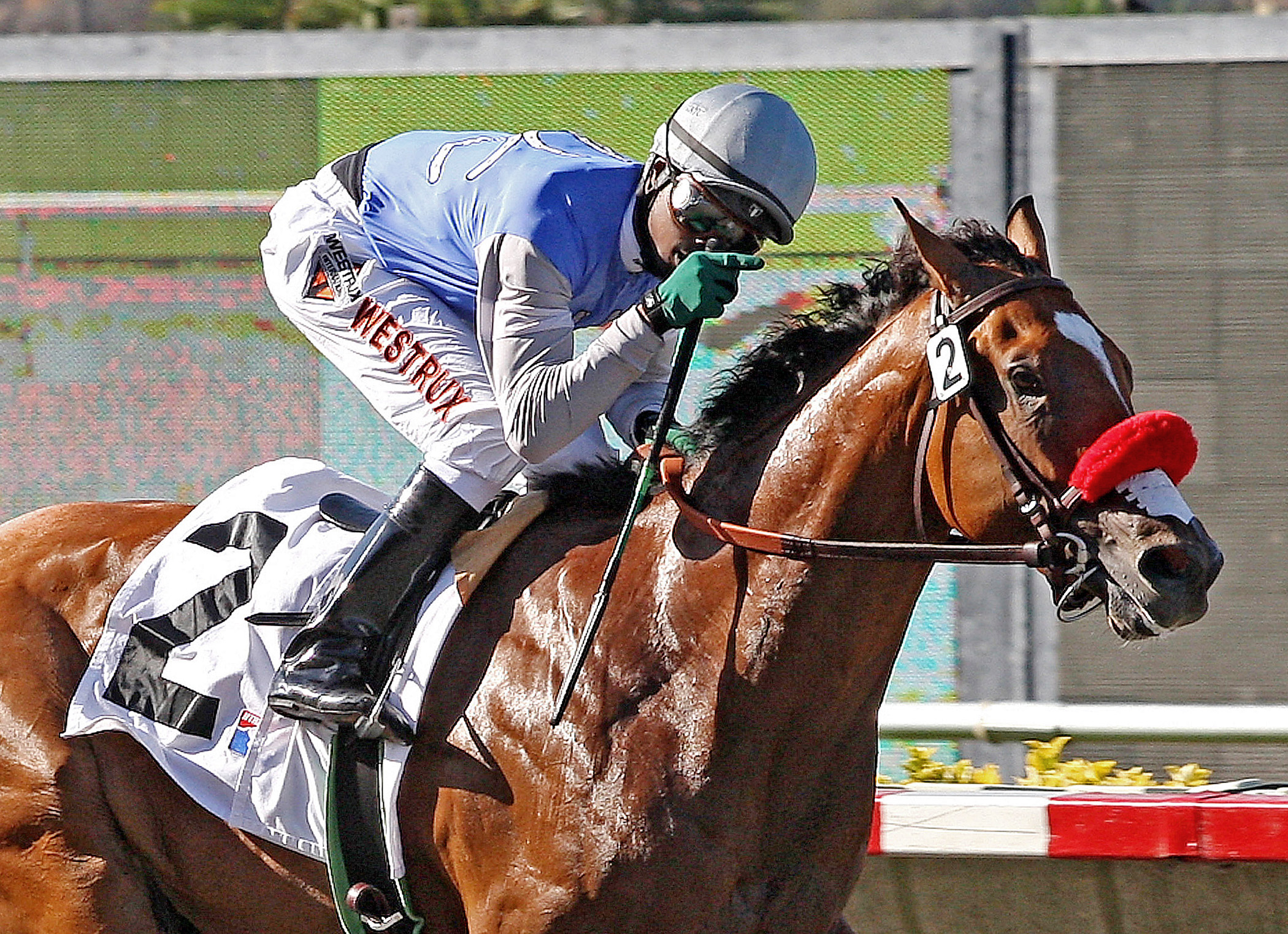Goldencents wins a maiden