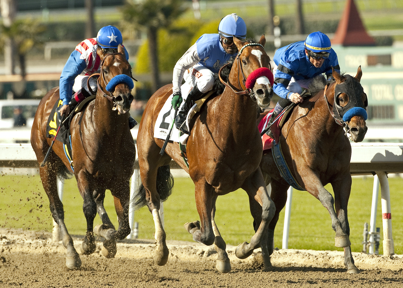 Goldencents, Sham Stakes