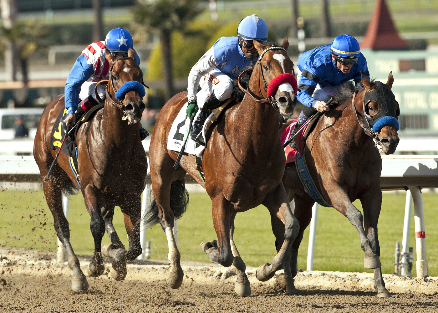 Manando, Goldencents, Sham Stakes