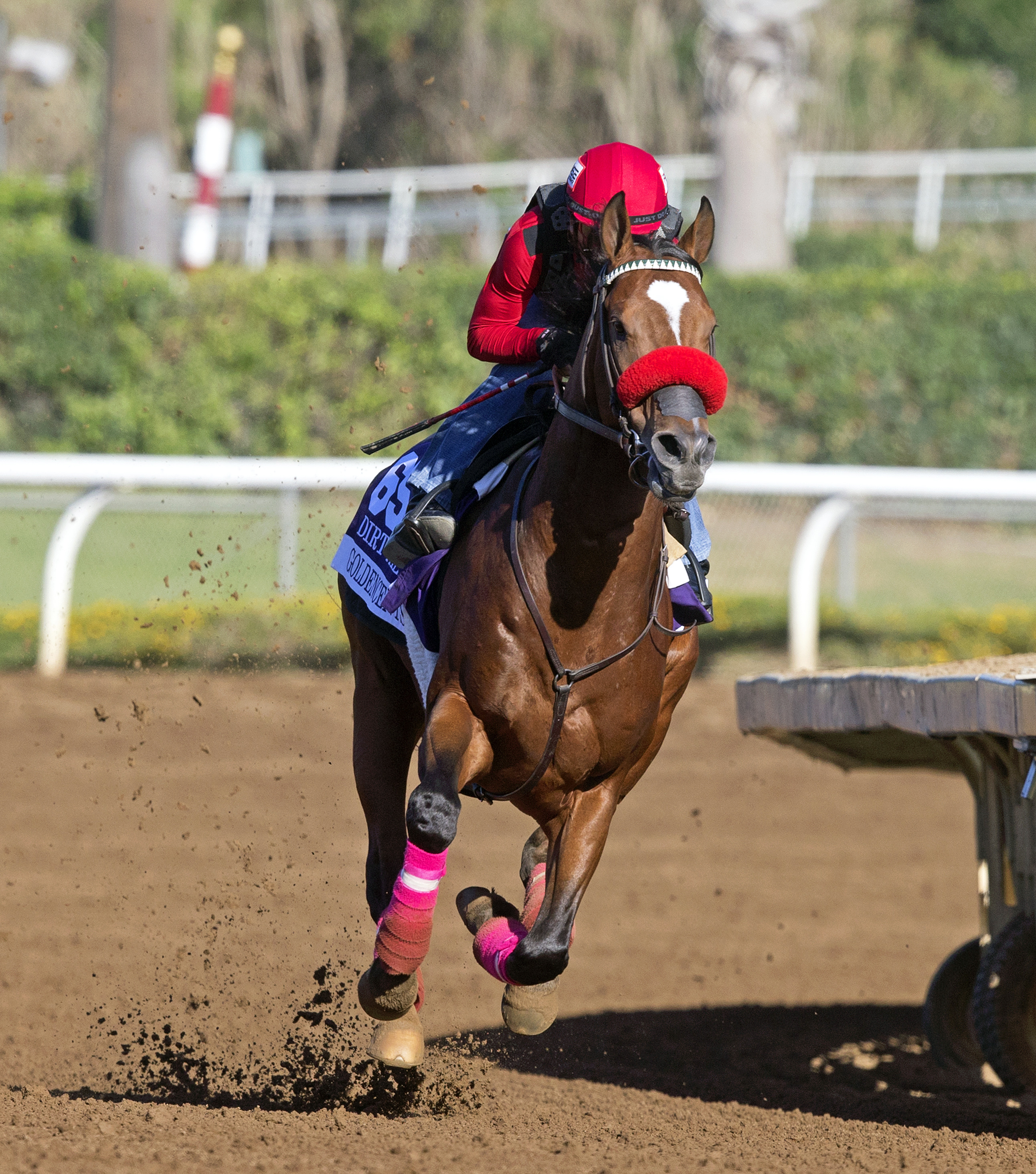 Goldencents works at Santa Anita Oct. 24