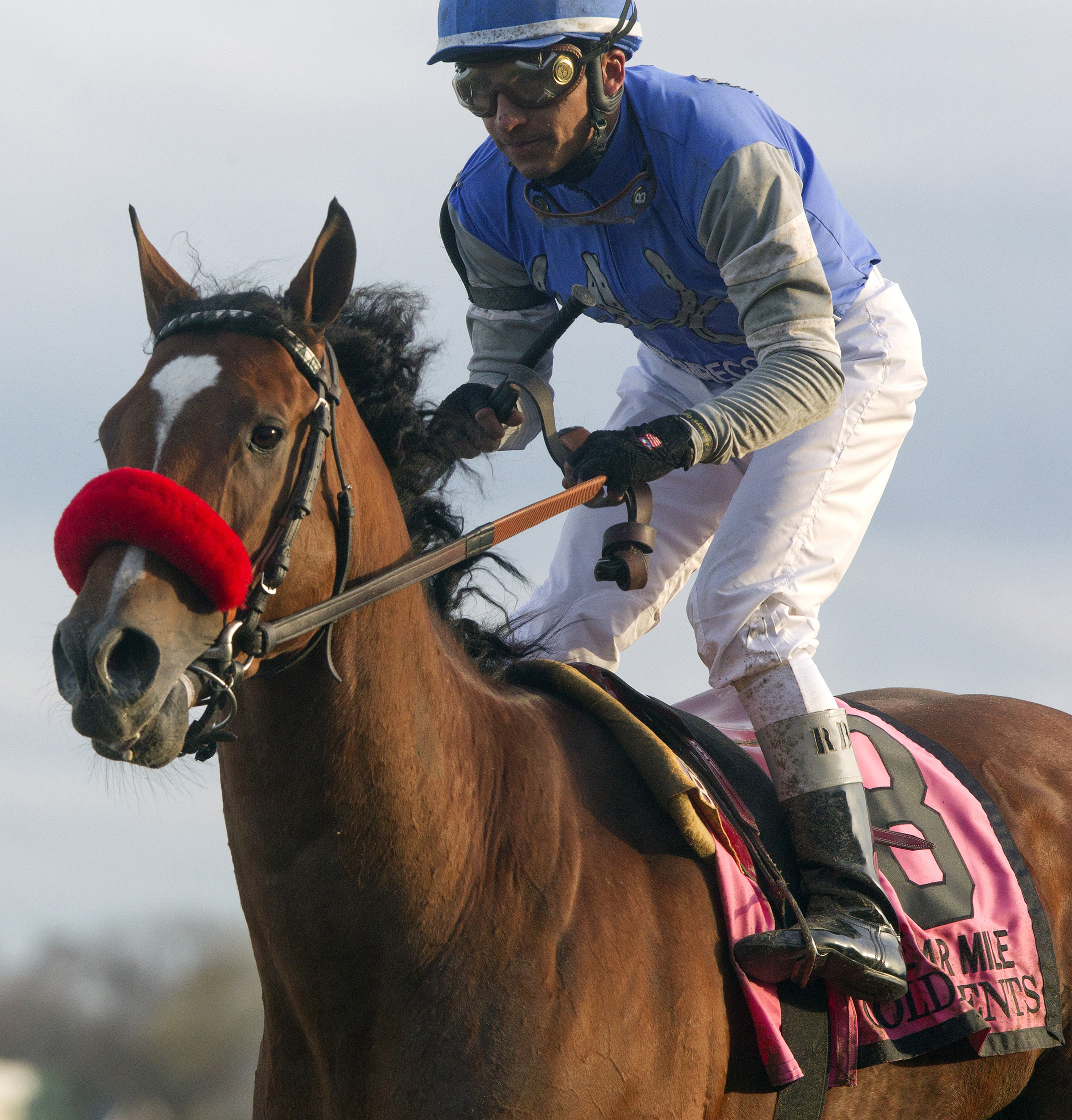 Goldencents finishes seventh in the Cigar Mile