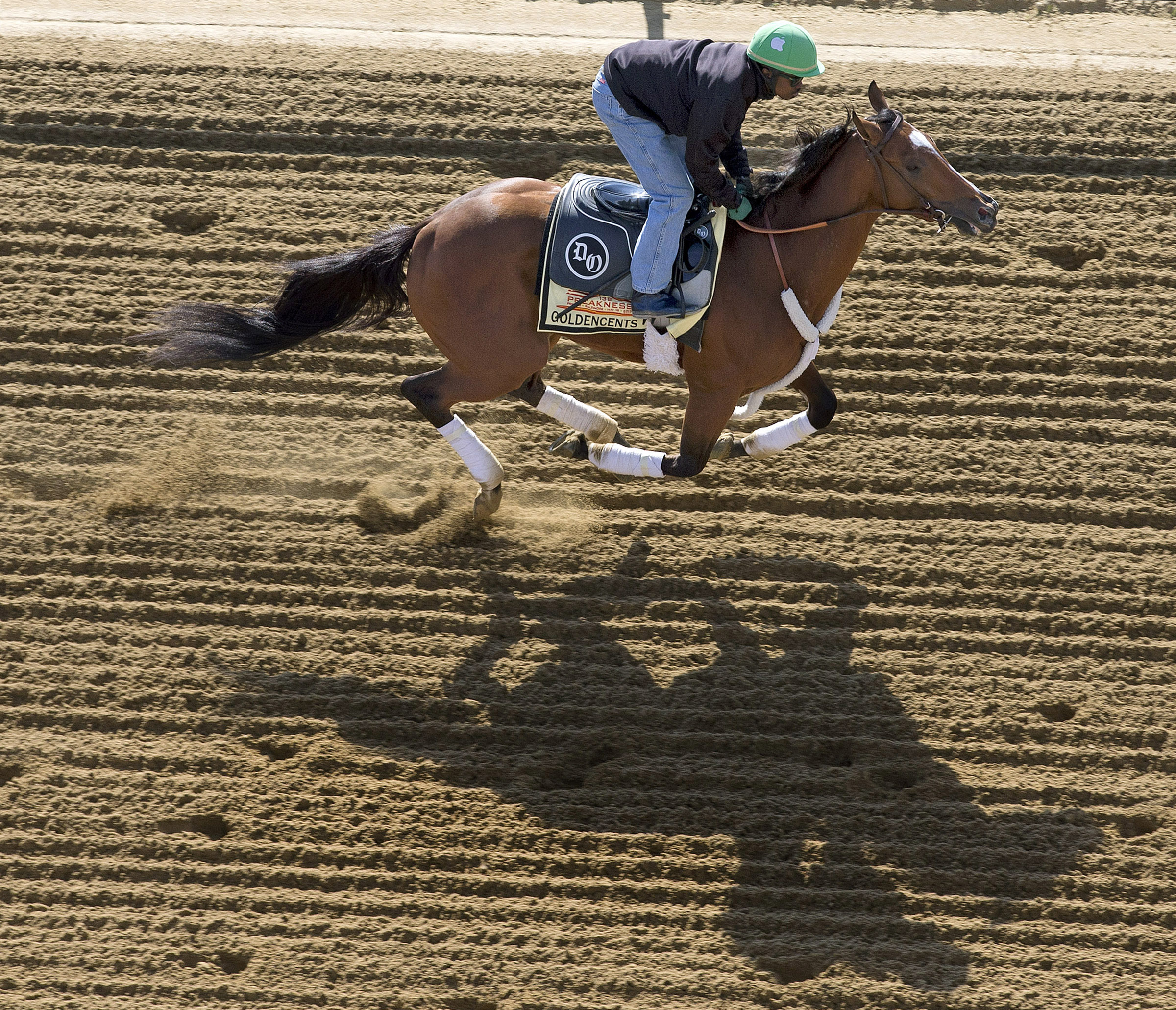 Goldencents at Pimlico, May 14