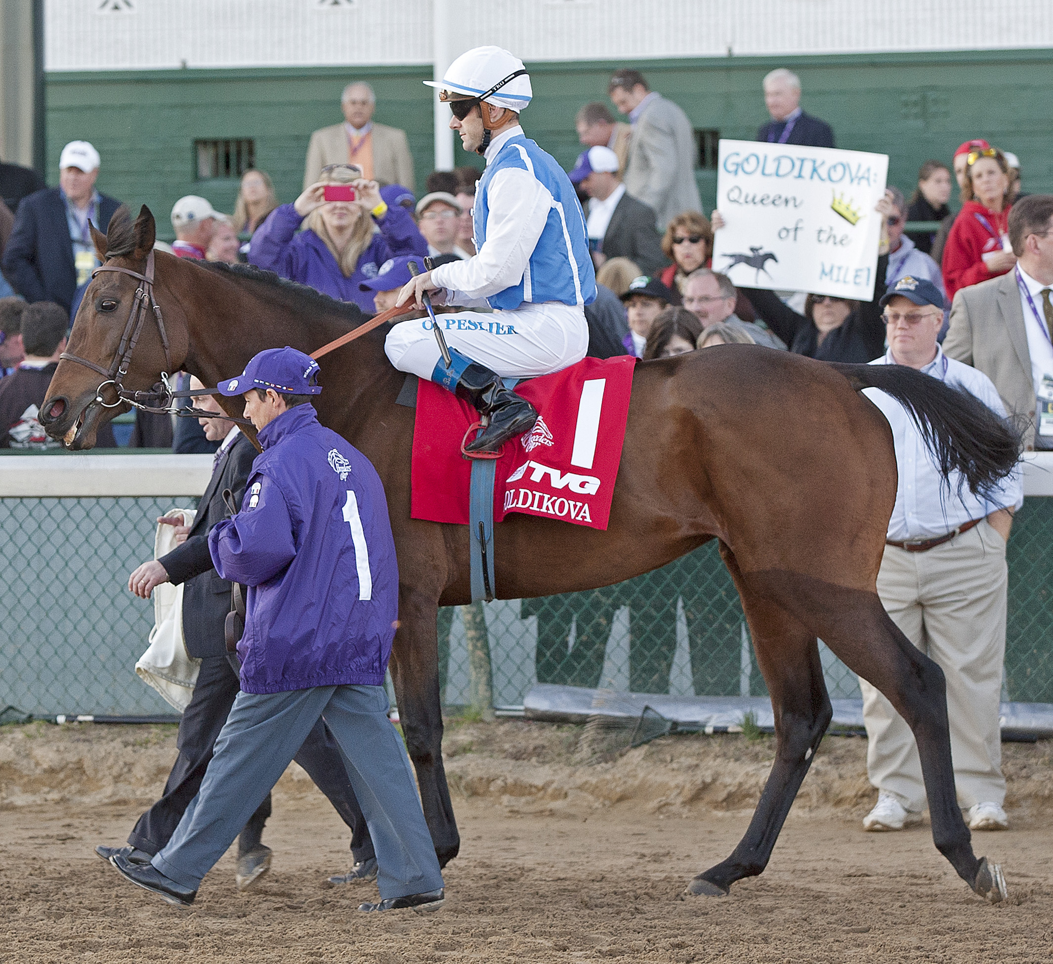 Goldikova 11-5-2011