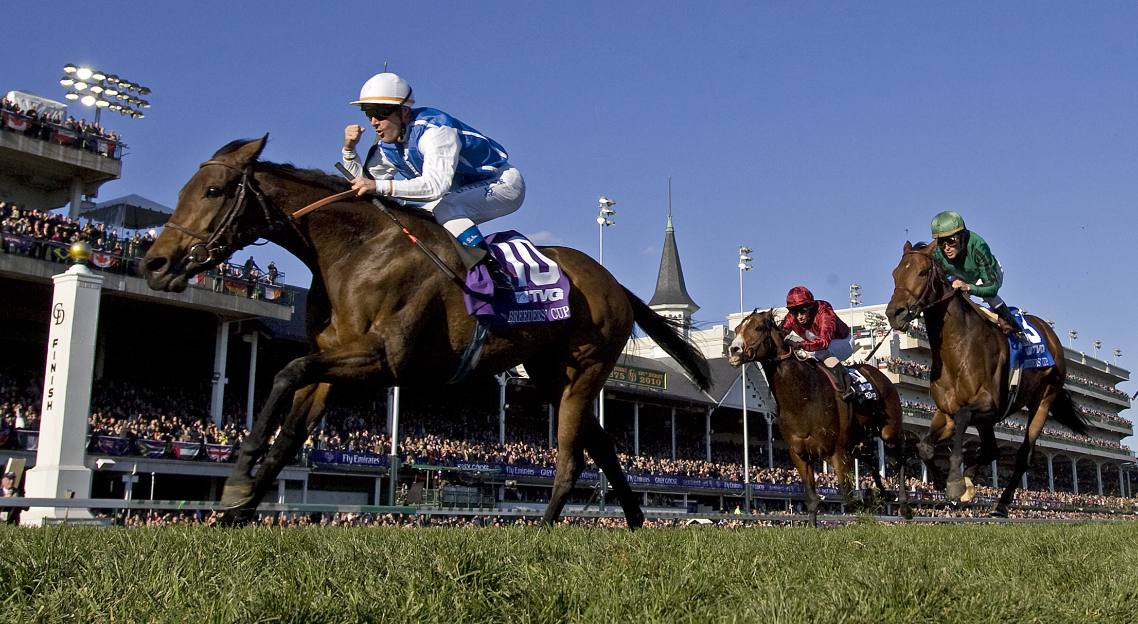 Goldikova/BC Mile2010
