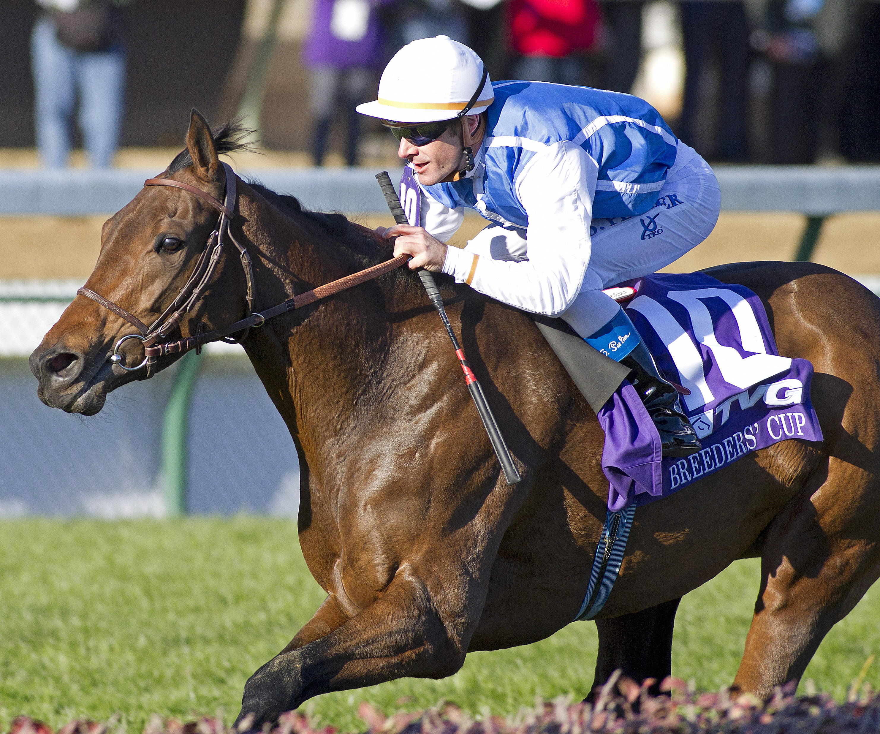 Goldikova