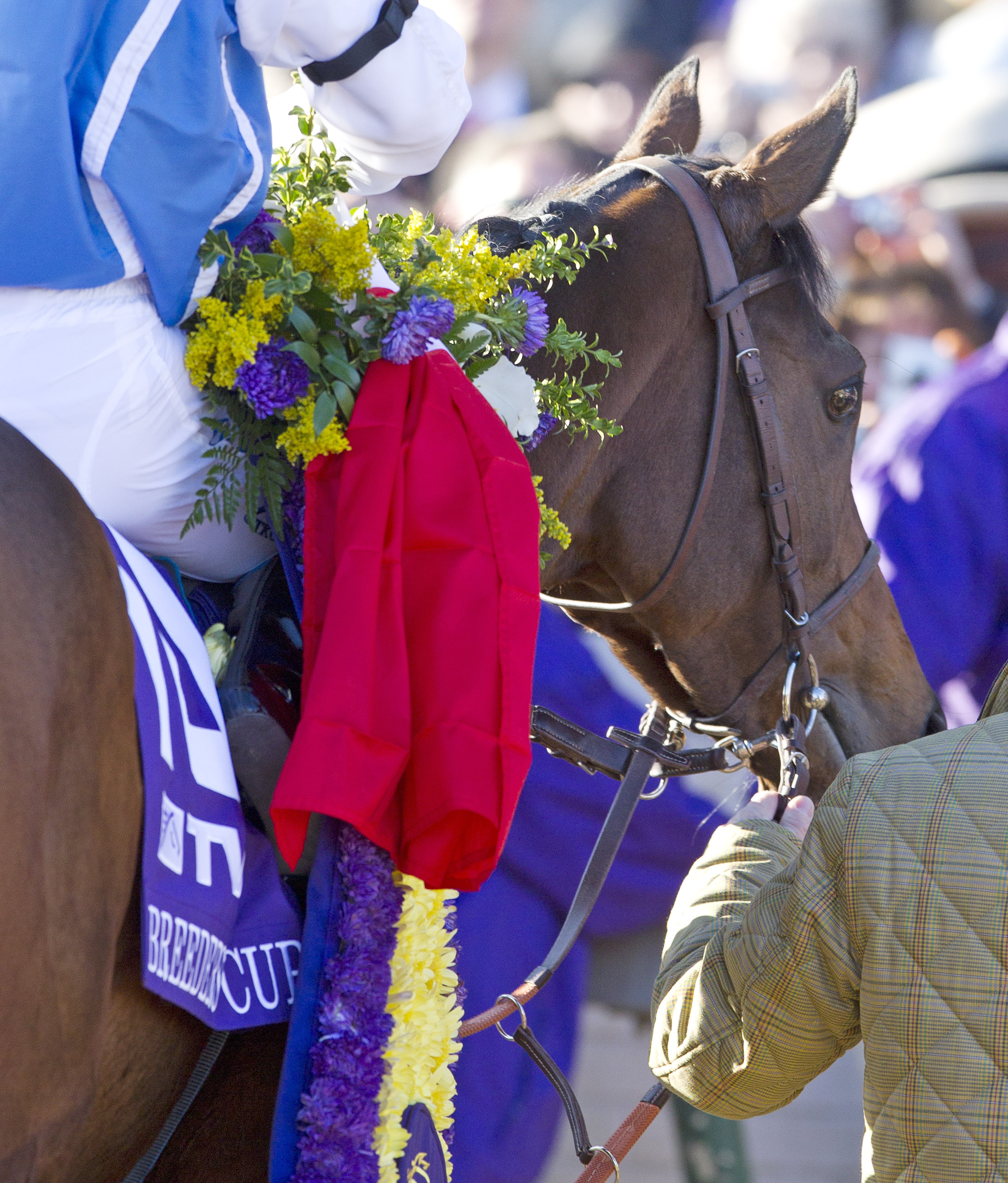 Goldikova, 2010 Mile
