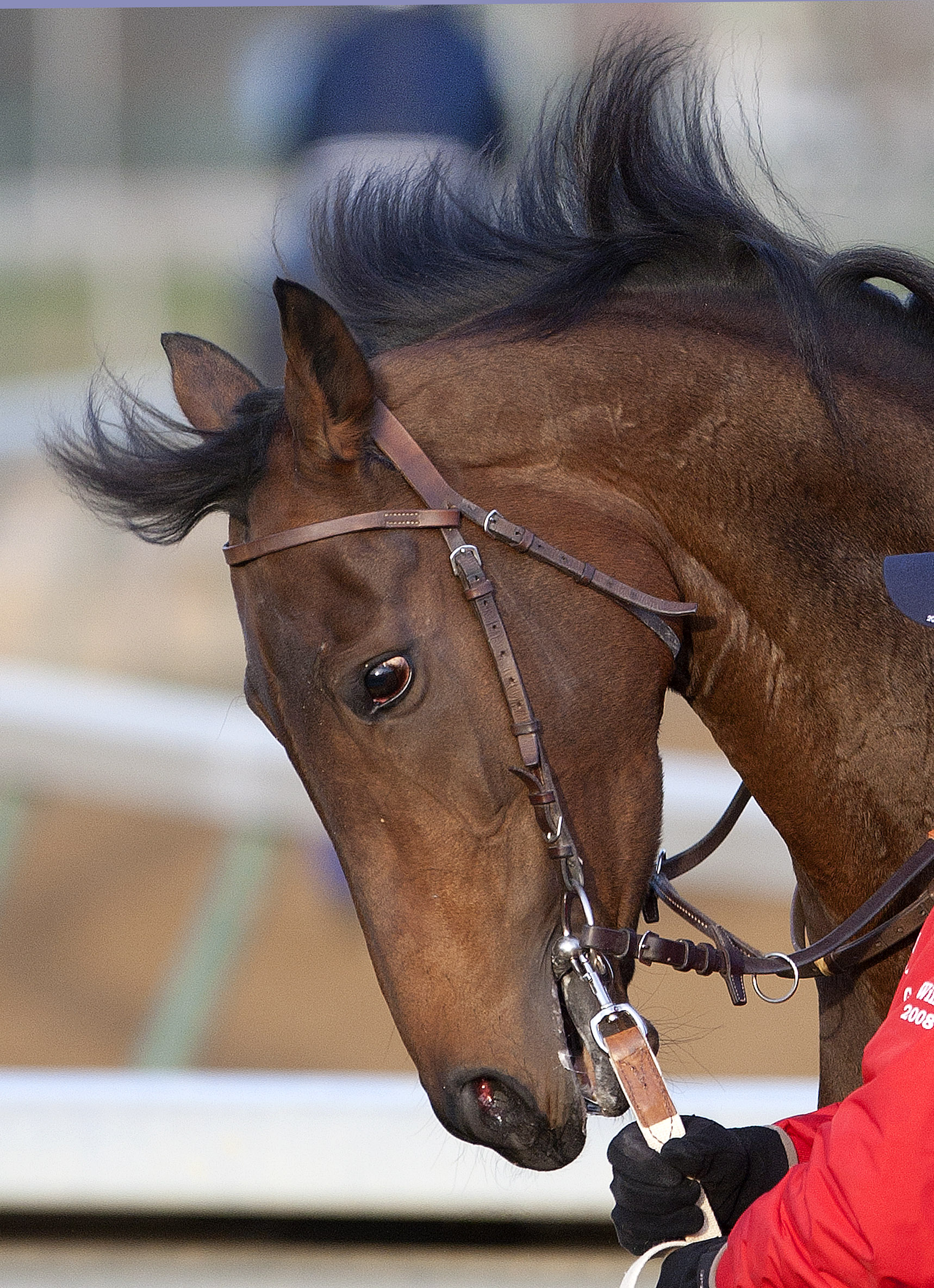 Goldikova