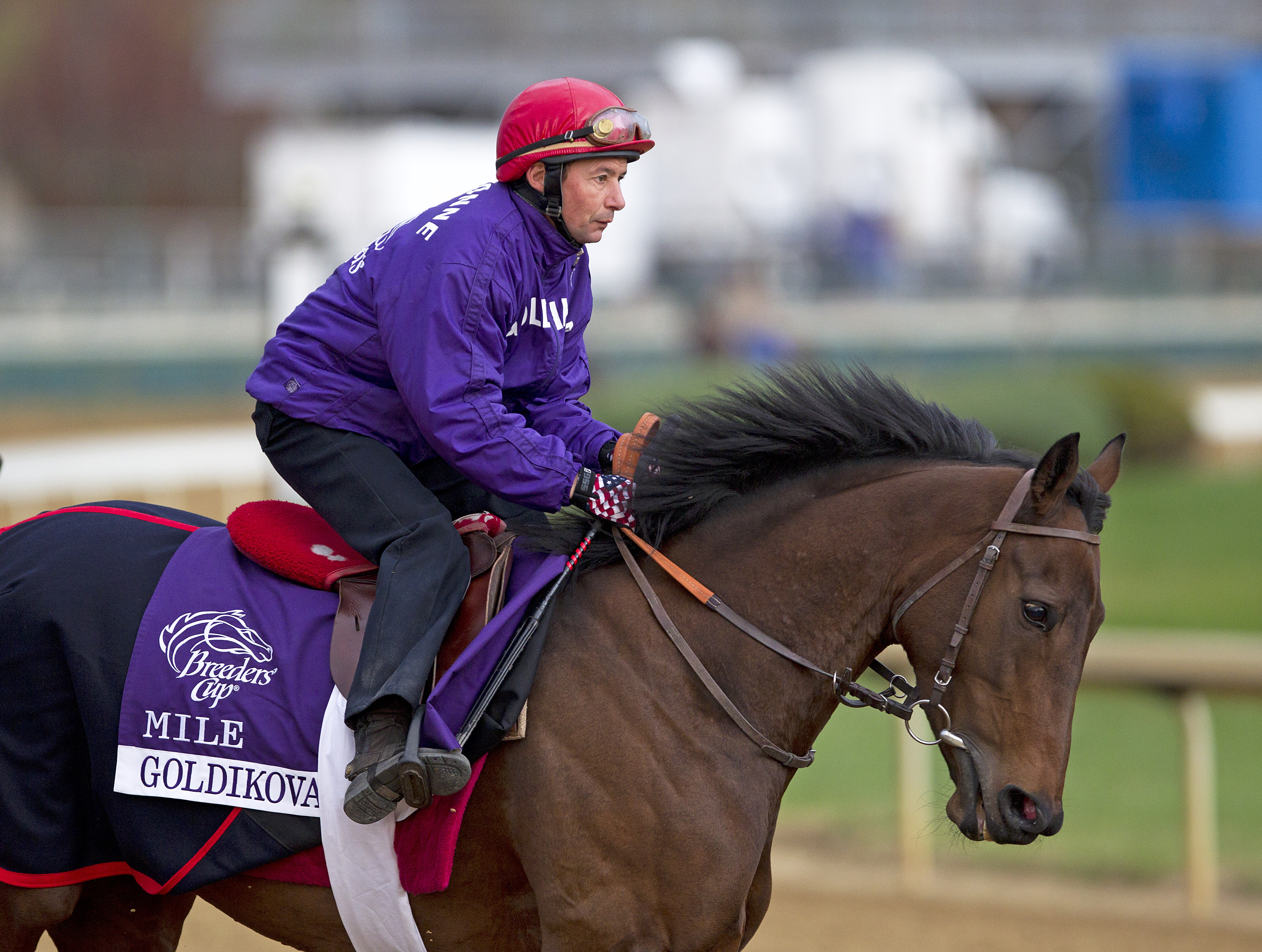 Goldikova training for 2011 Breeders' Cup Mile