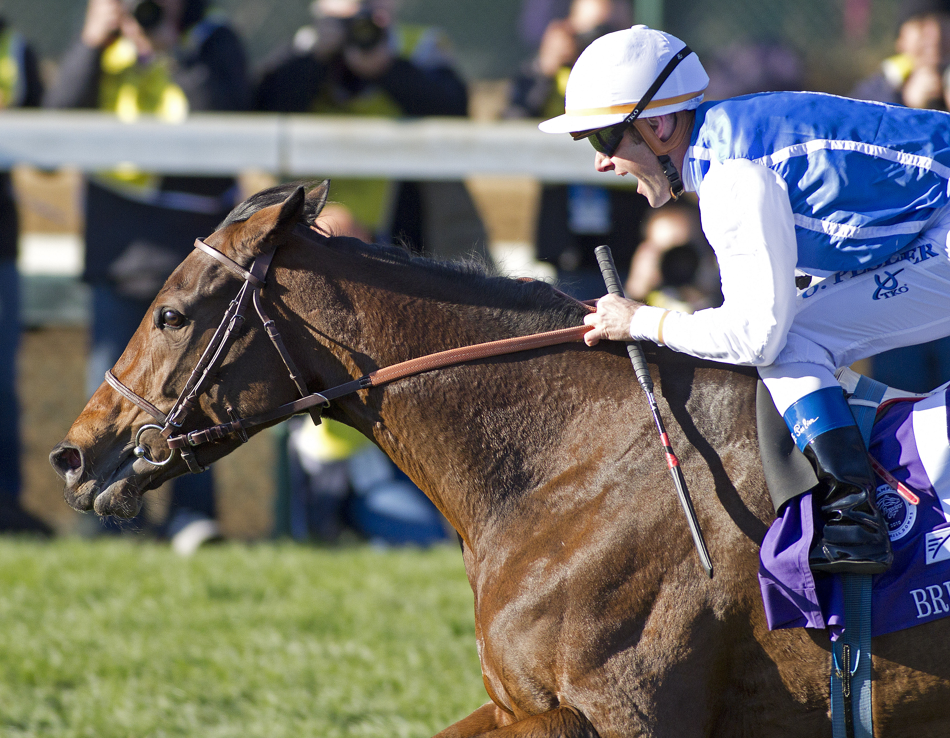 Goldikova