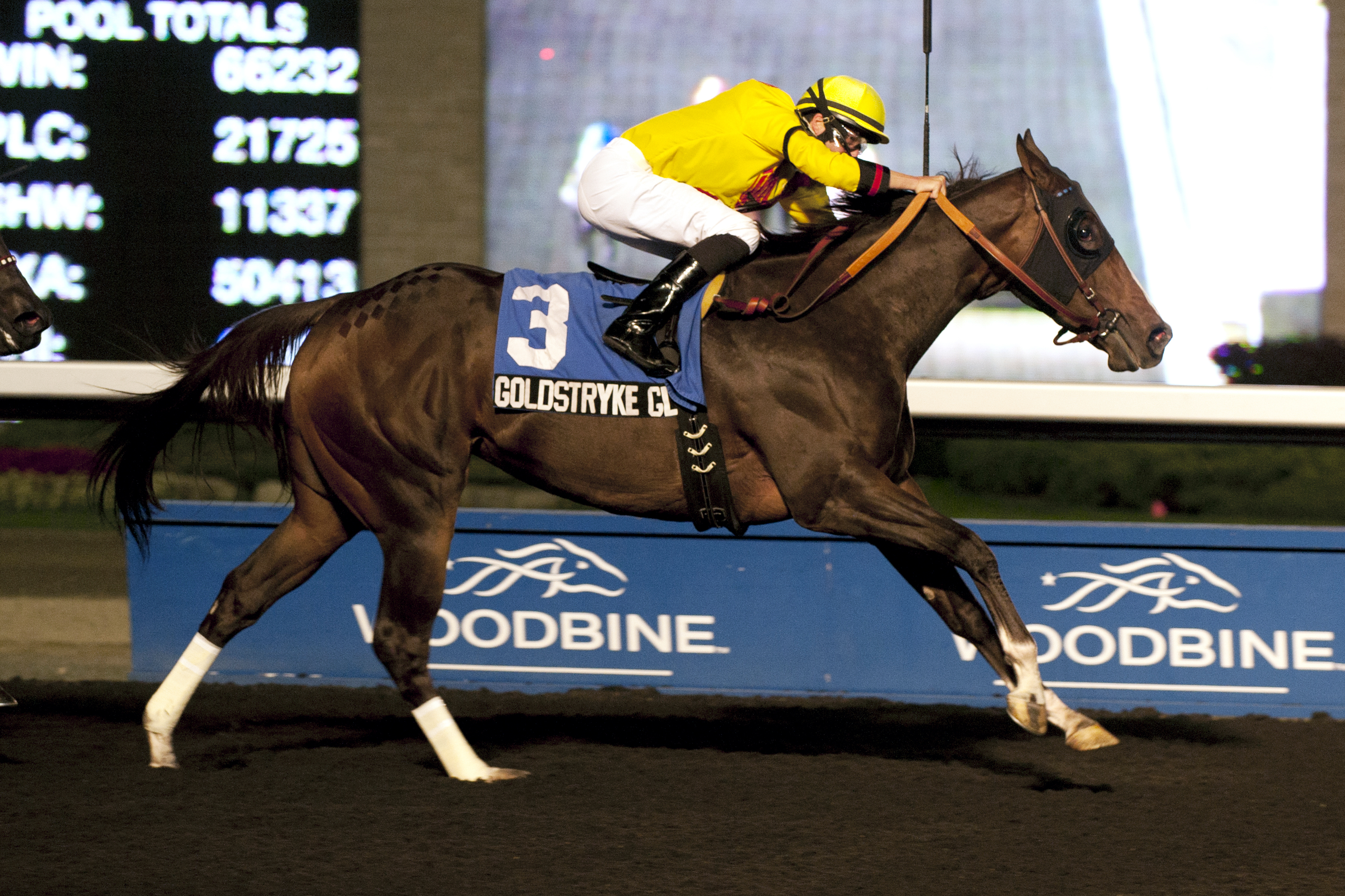 Goldstryke Glory wins the Apelia Stakes