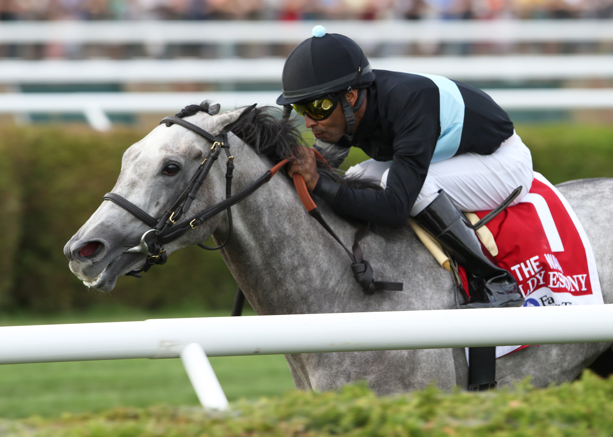 Goldy Espony wins 2015 Waya