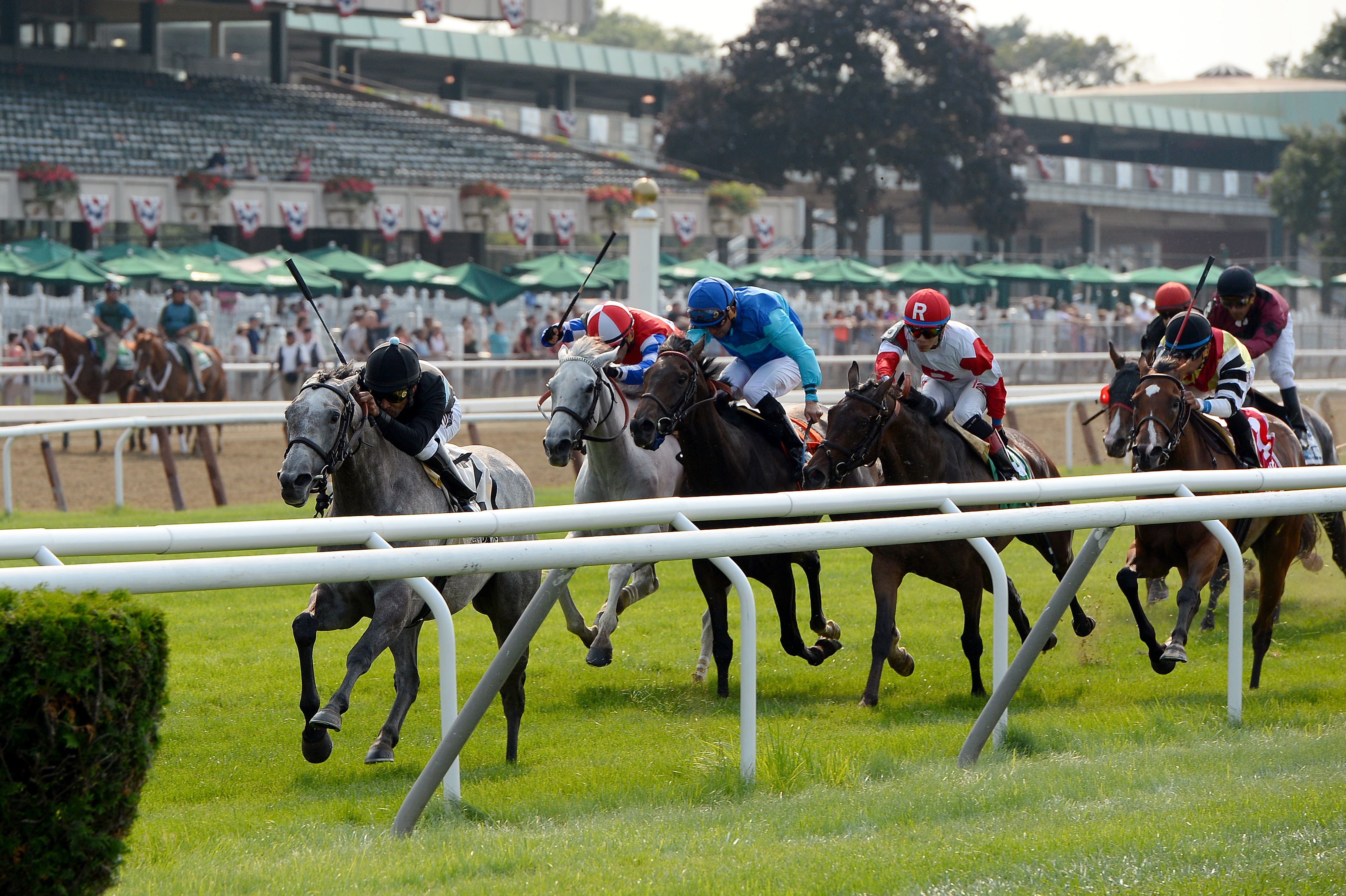 Dido finishes second in the River Memories