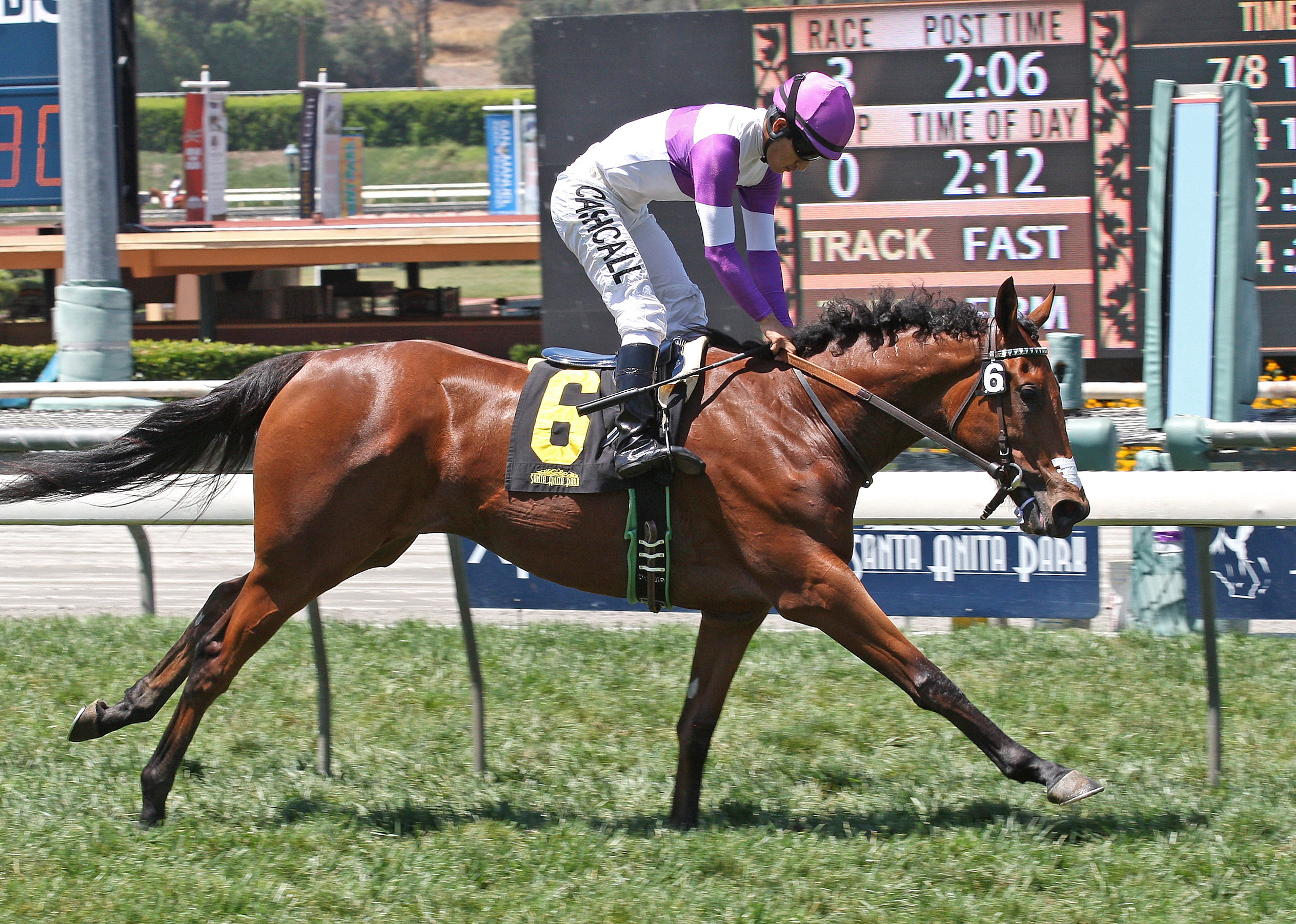 Gomo wins a maiden race