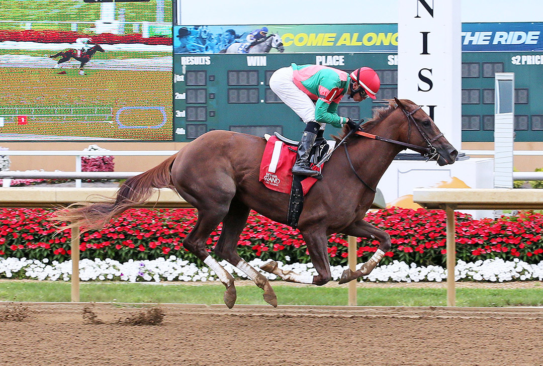 Gone Glimmering wins a September 2019 allowance at Indiana Grand