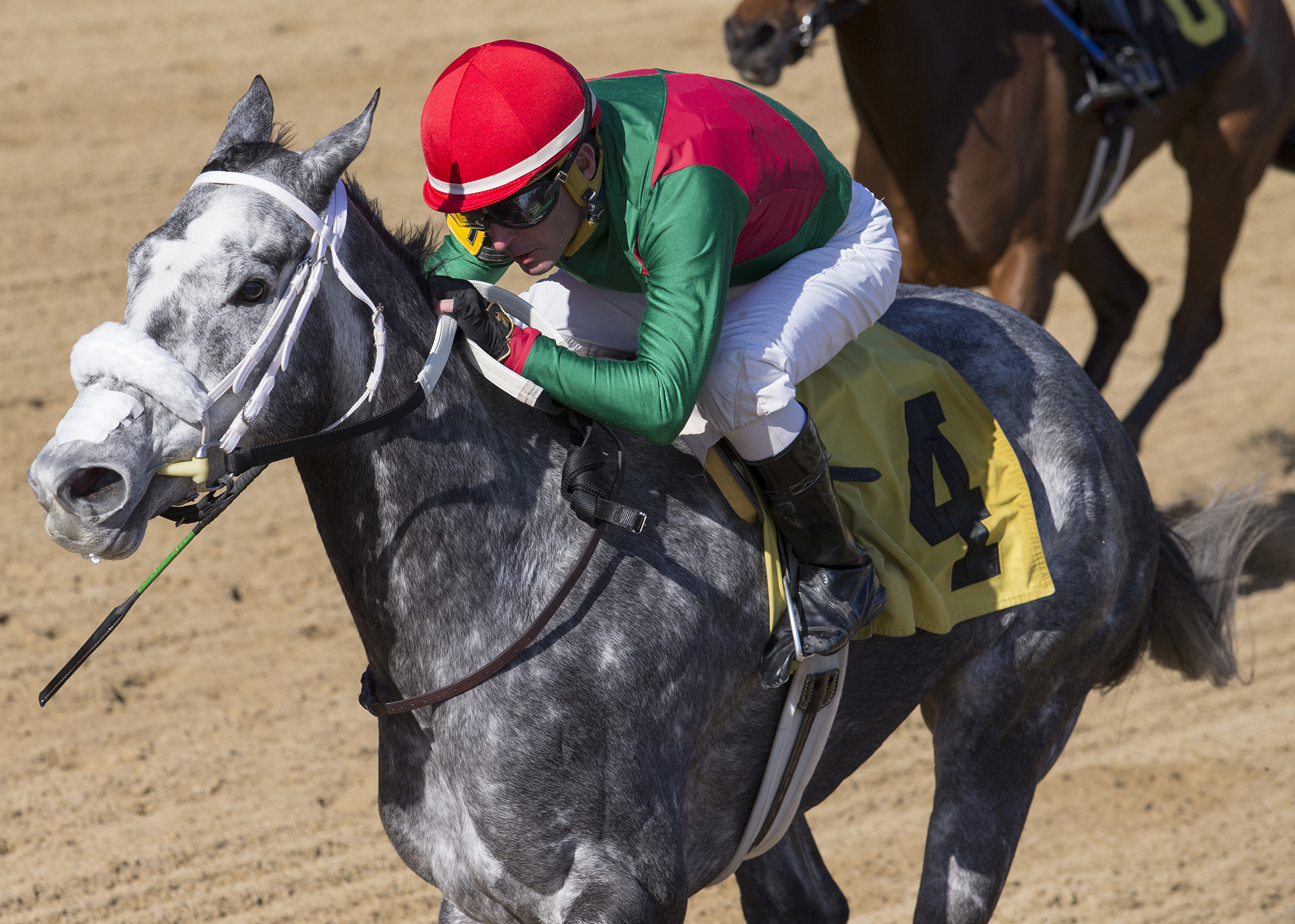 Goneghost wins the 2018 Milwaukee Avenue Stakes