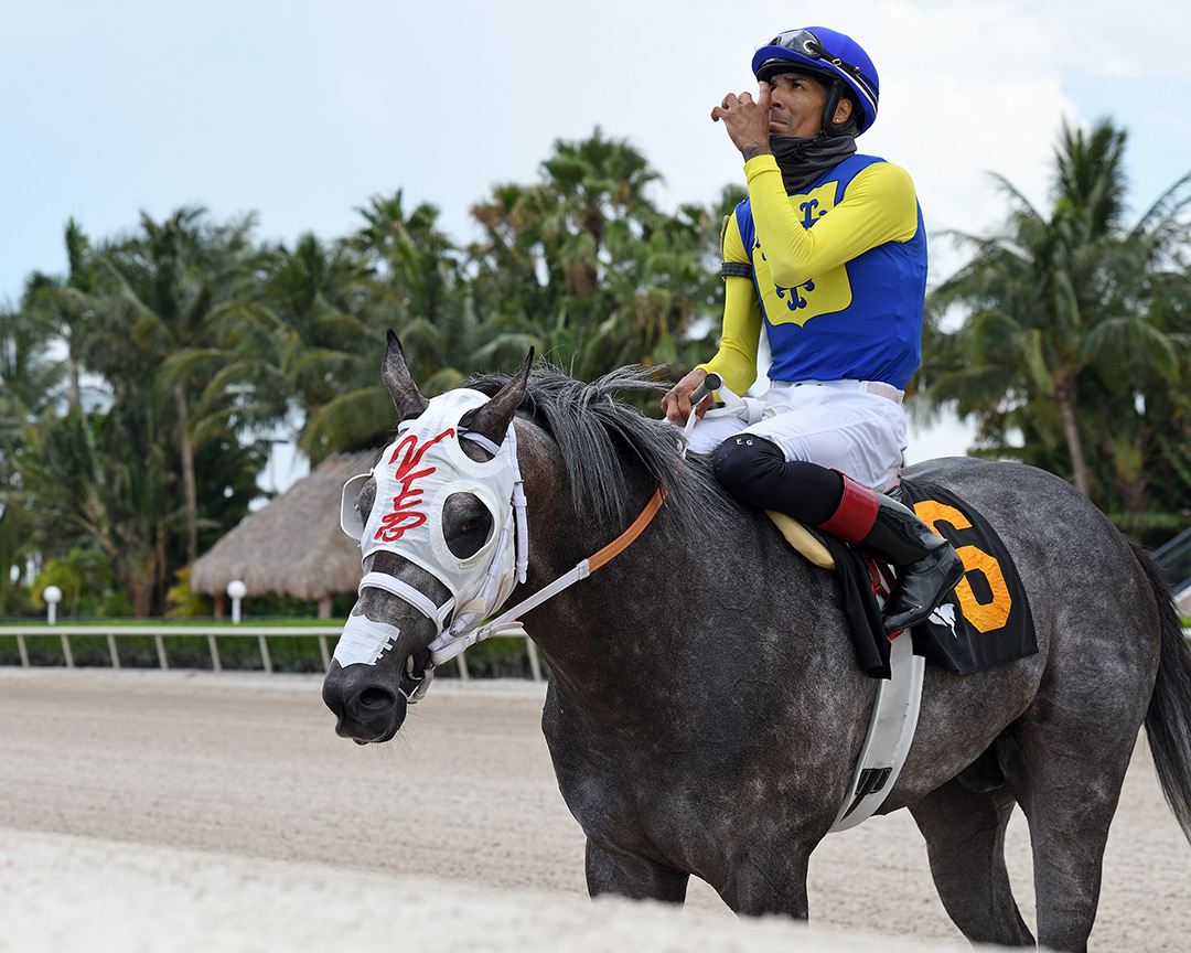 Surprise Factor with Edwin Gonzalez after winning a June 12 claimer at Gulfstream