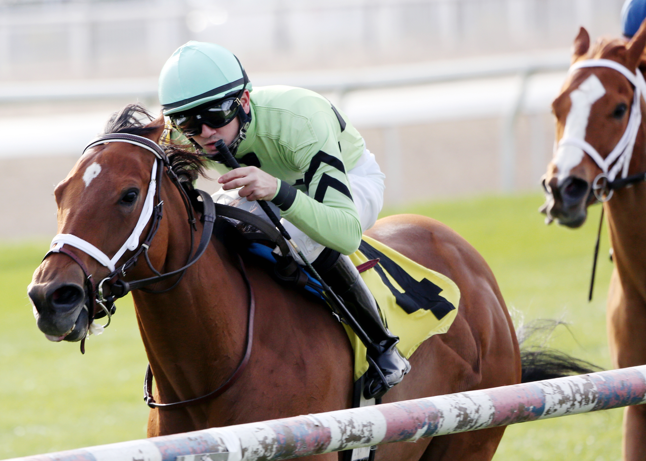 Good Deed wins the Pan Zareta