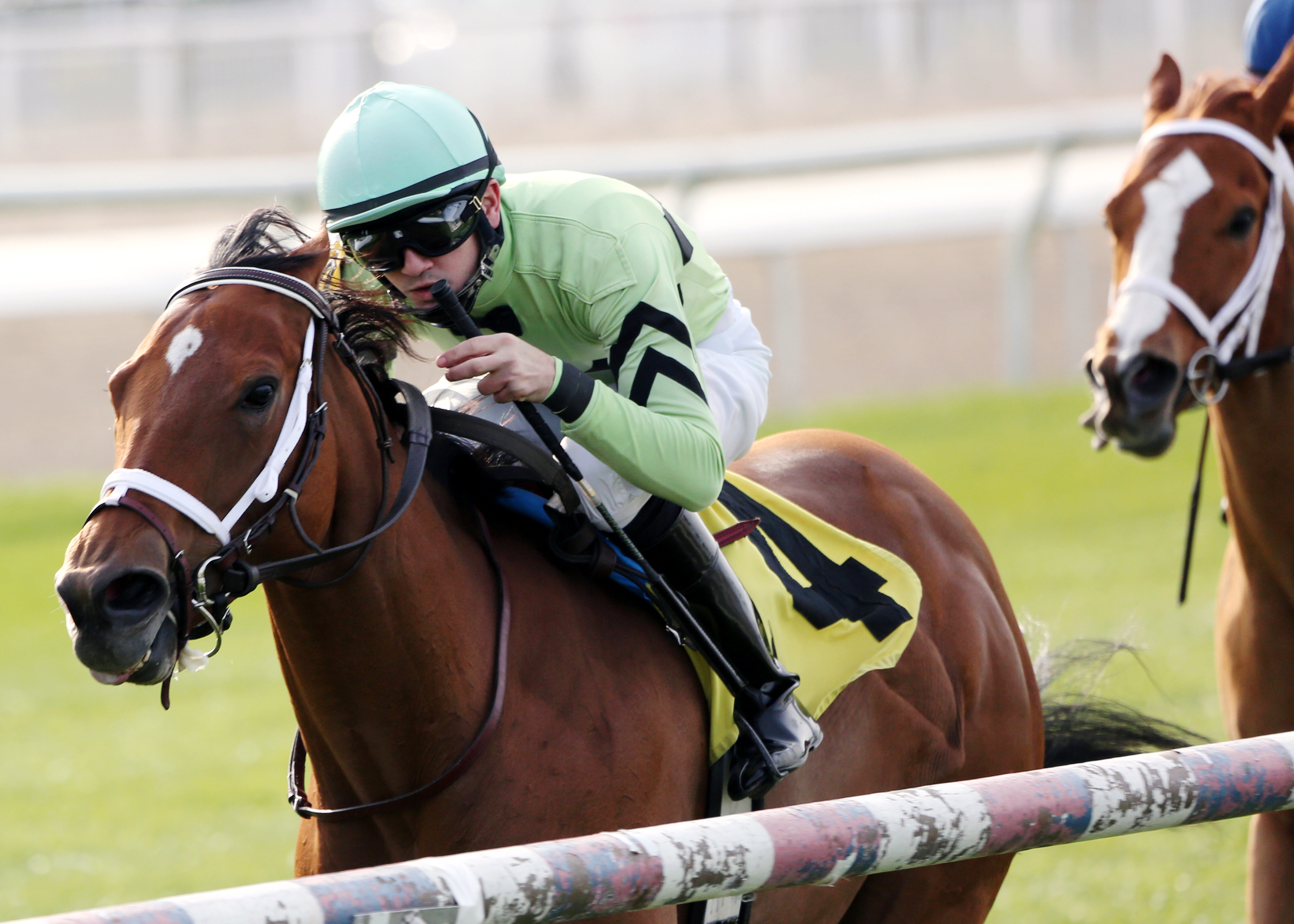 Good Deed wins the Pan Zareta