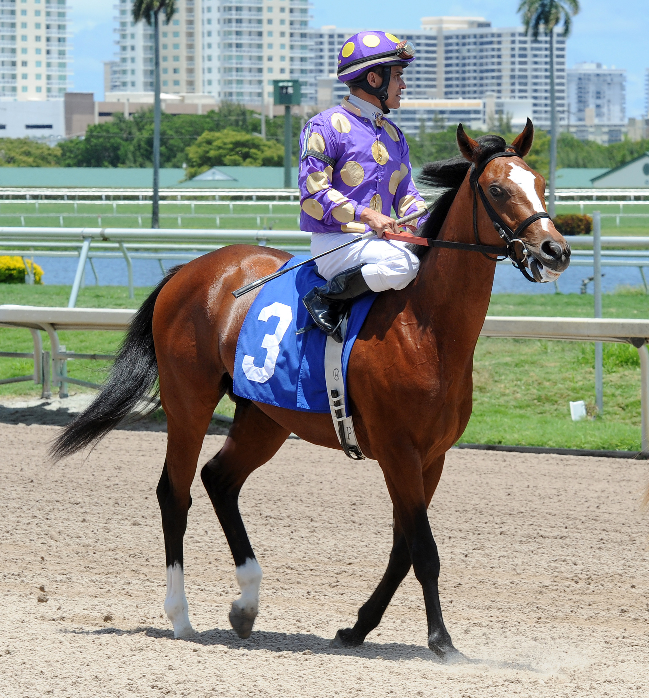 Good Genes at a maiden race at Gulfstream May 15