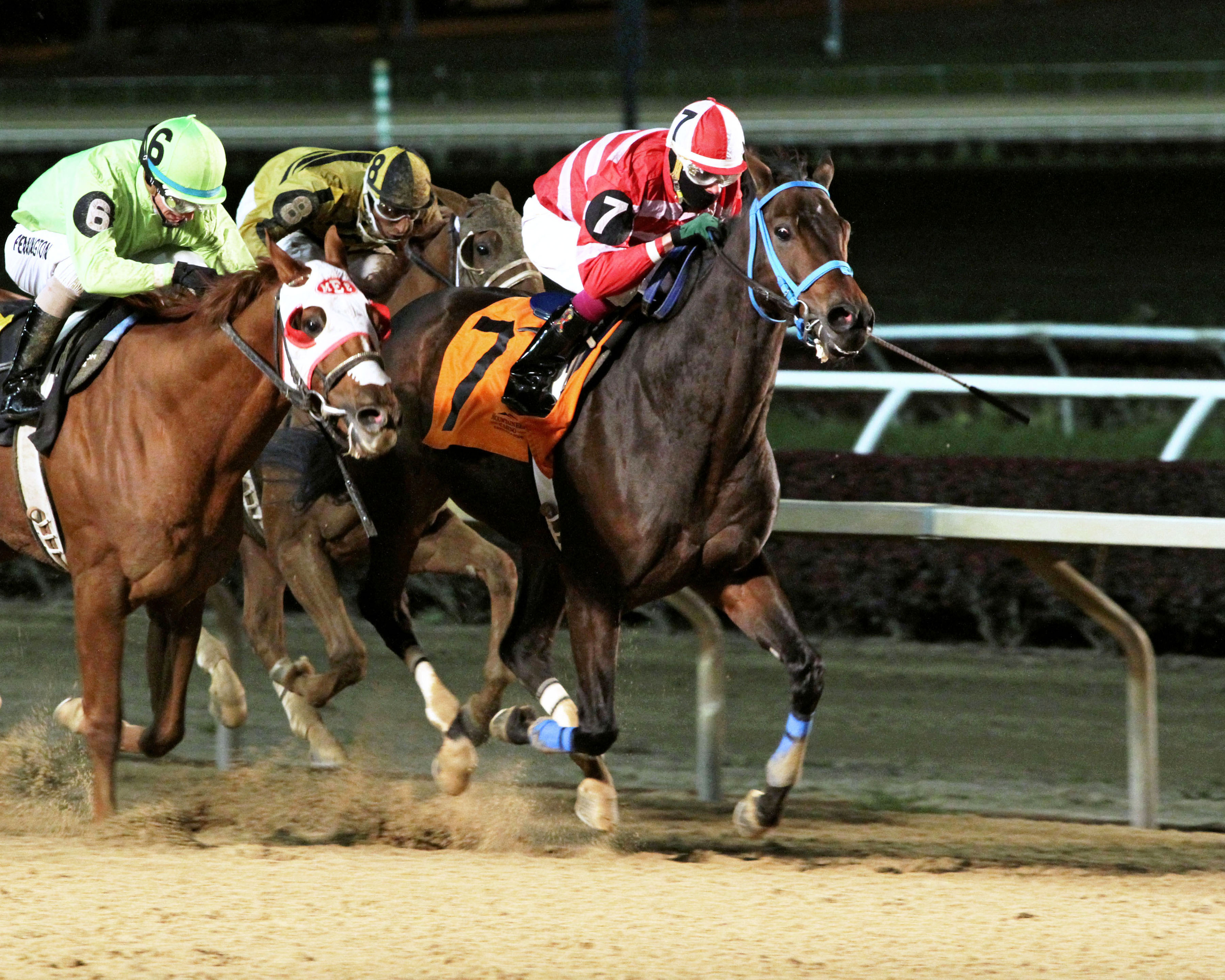 Good Lord wins the Mountaineer Mile