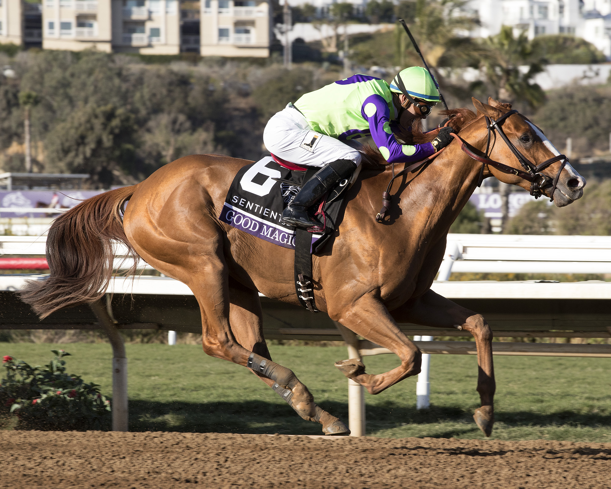 Good Magic wins BC Juvenile