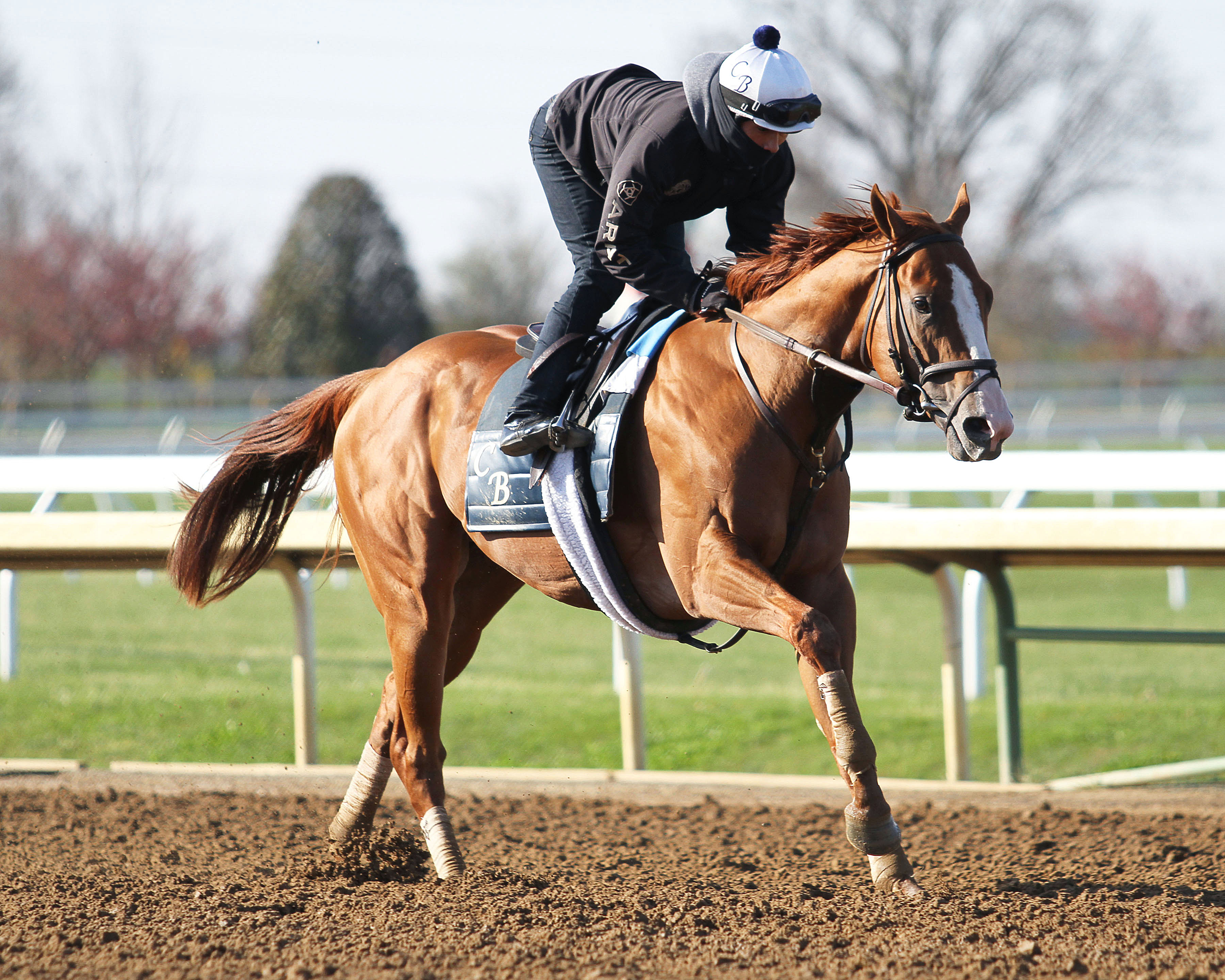 Good Magic trains at Keeneland on April 17