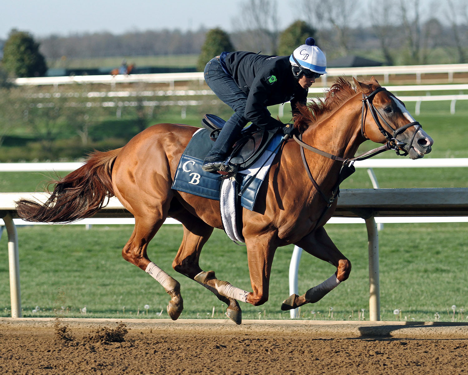 Good Magic works at Keeneland on April 21