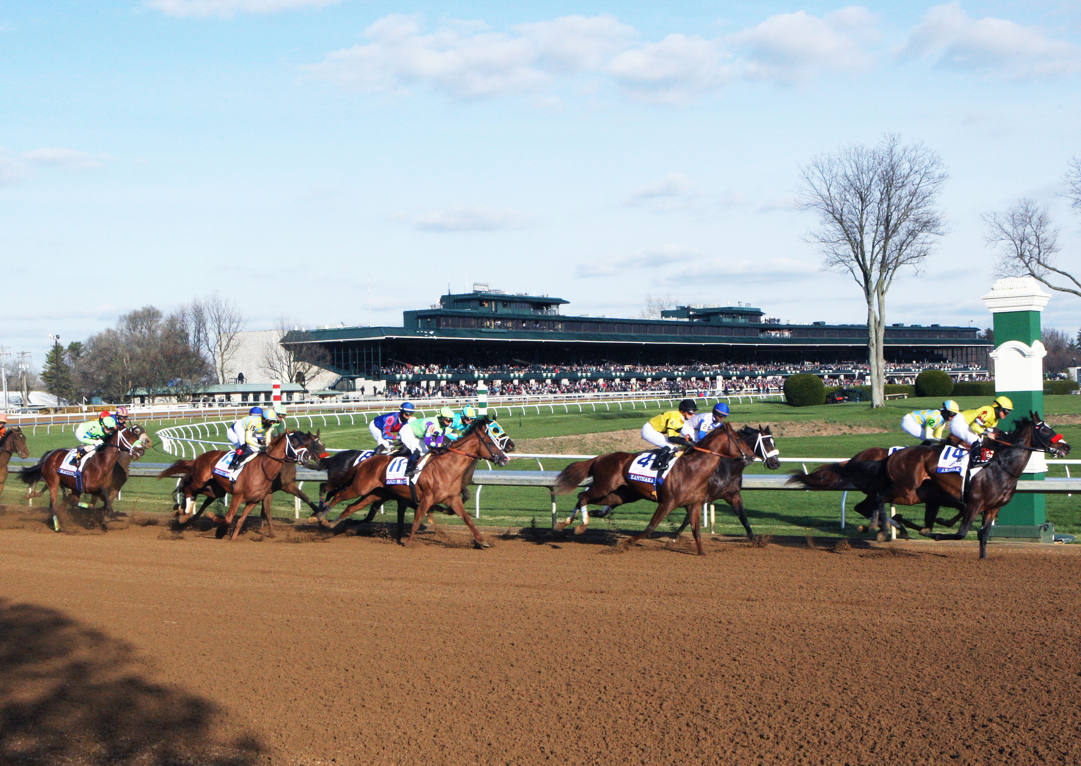 2018 Blue Grass Stakes