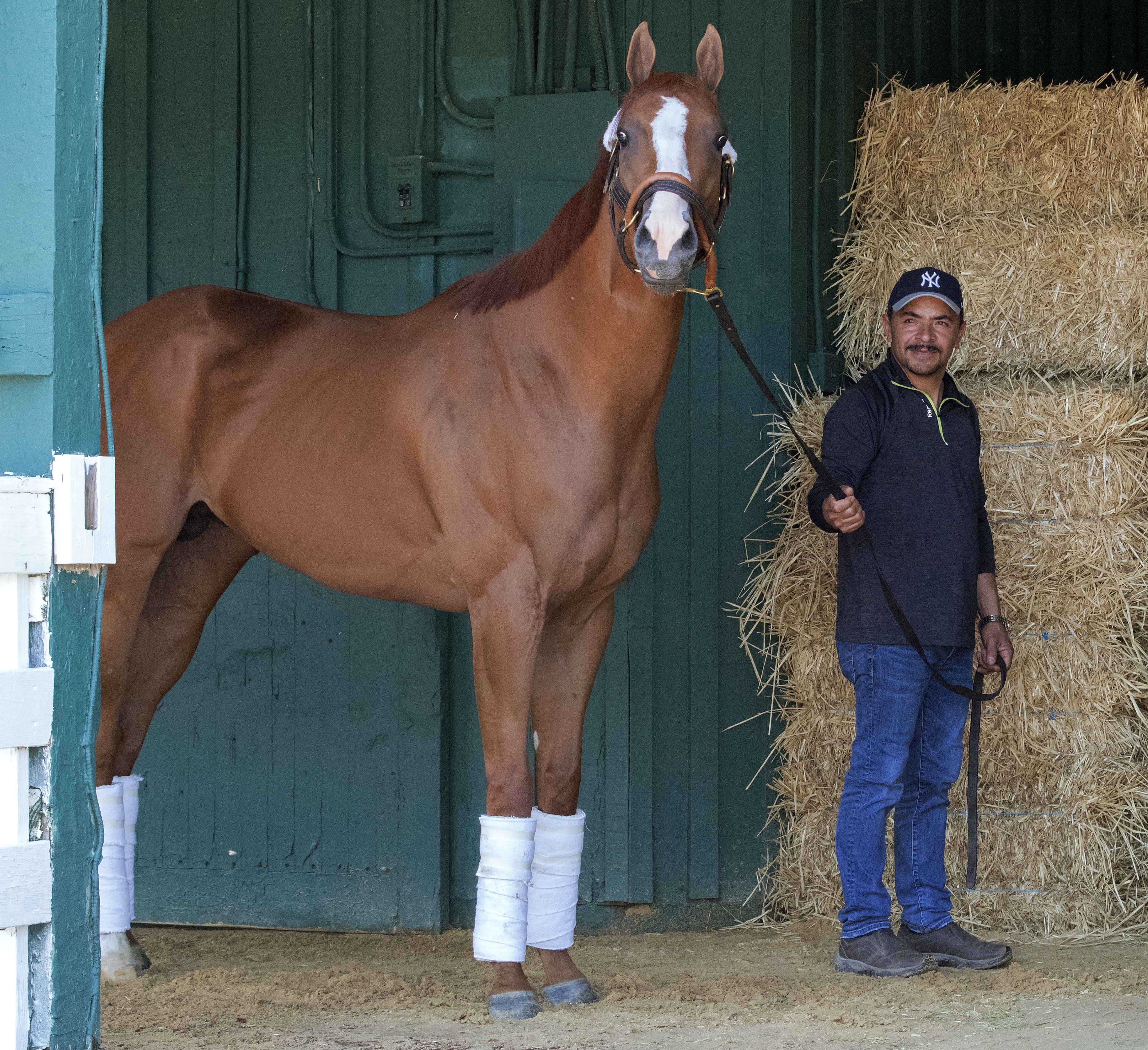 Good Magic at Pimlico on 5.14.18
