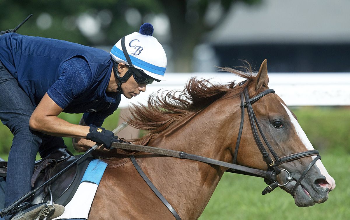 Good Magic trains at Saratoga on Aug. 11