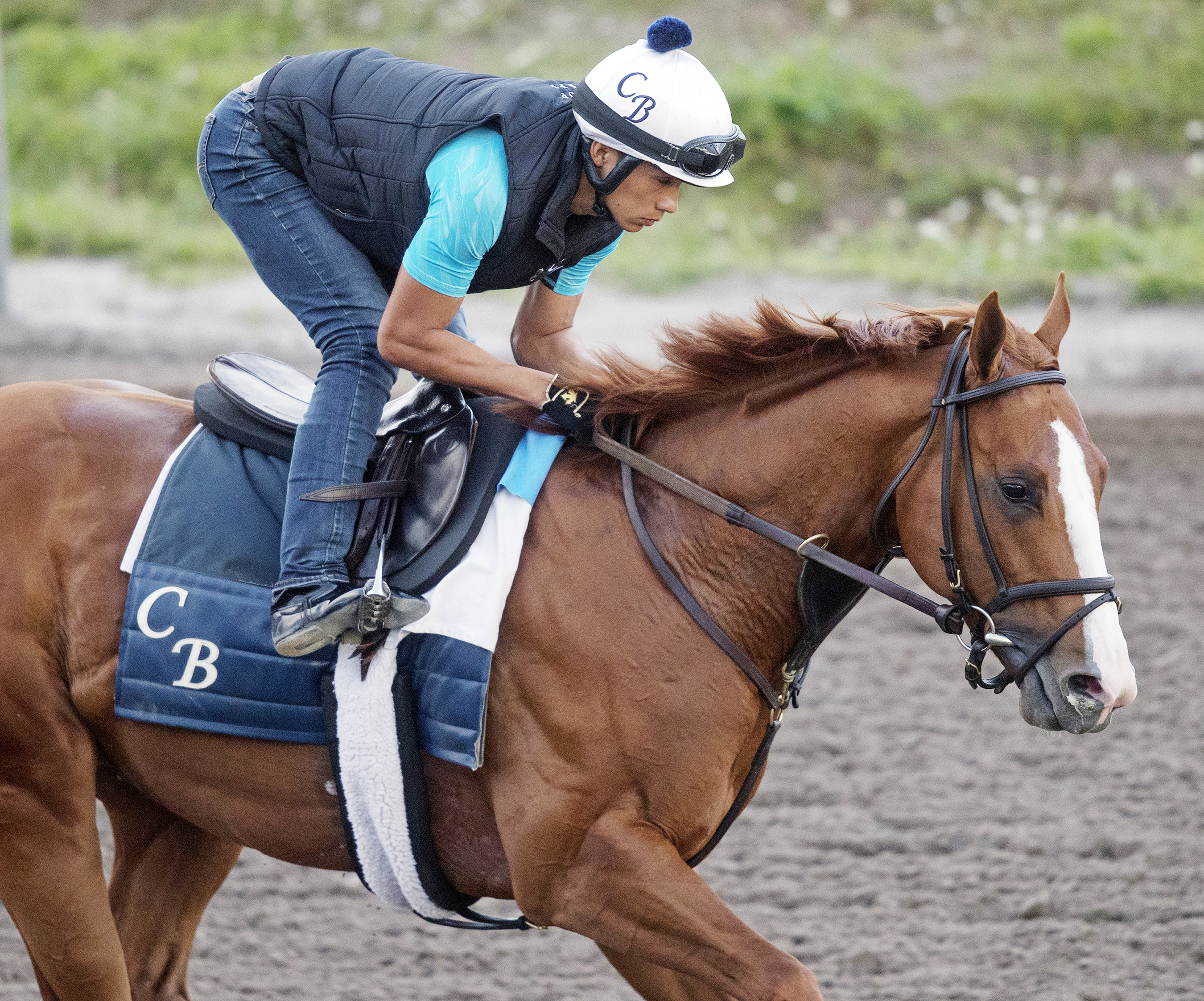 Good Magic trains at Gulfstream Park on Feb. 1