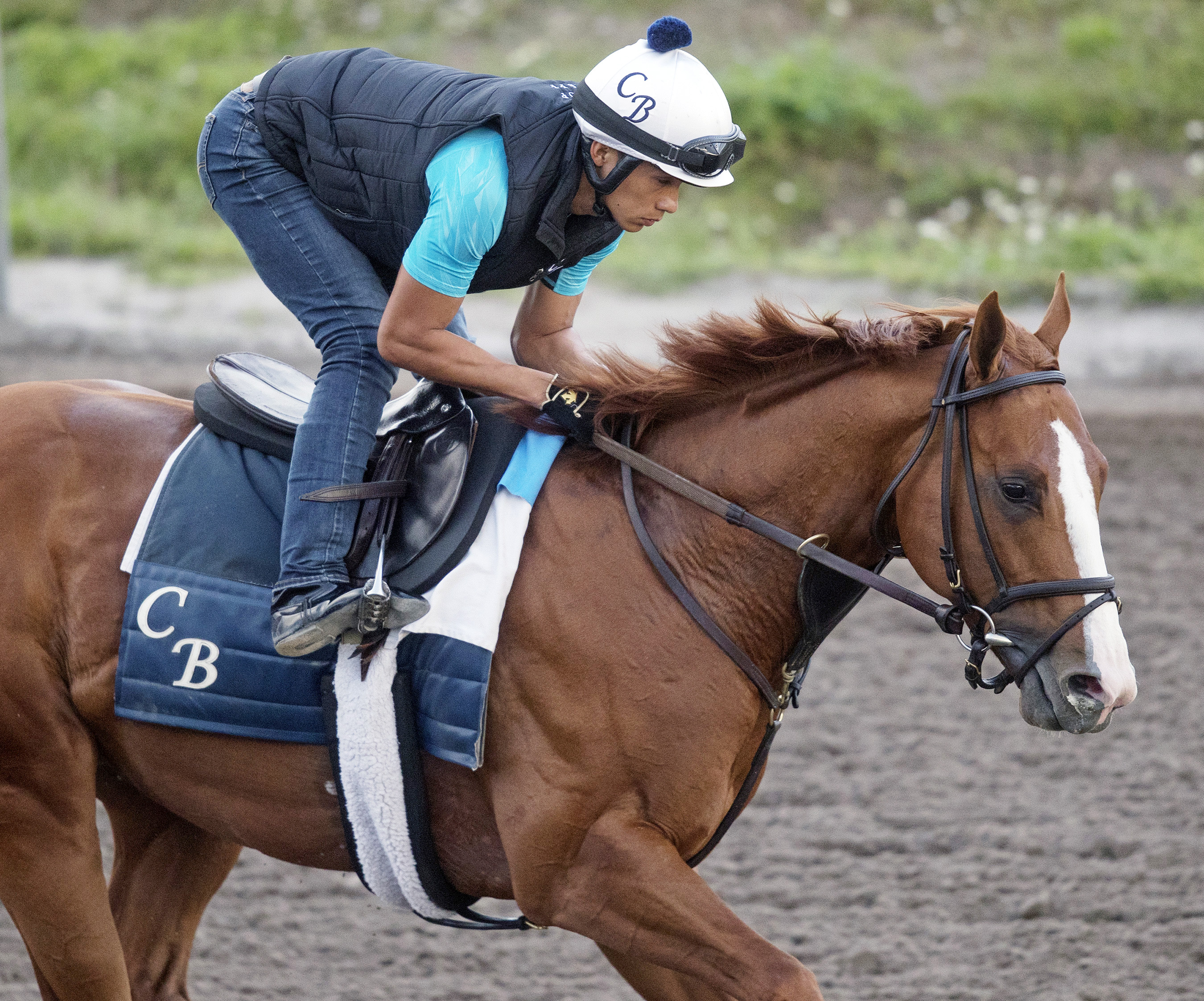 Good Magic trains at Gulfstream Park on Feb. 1