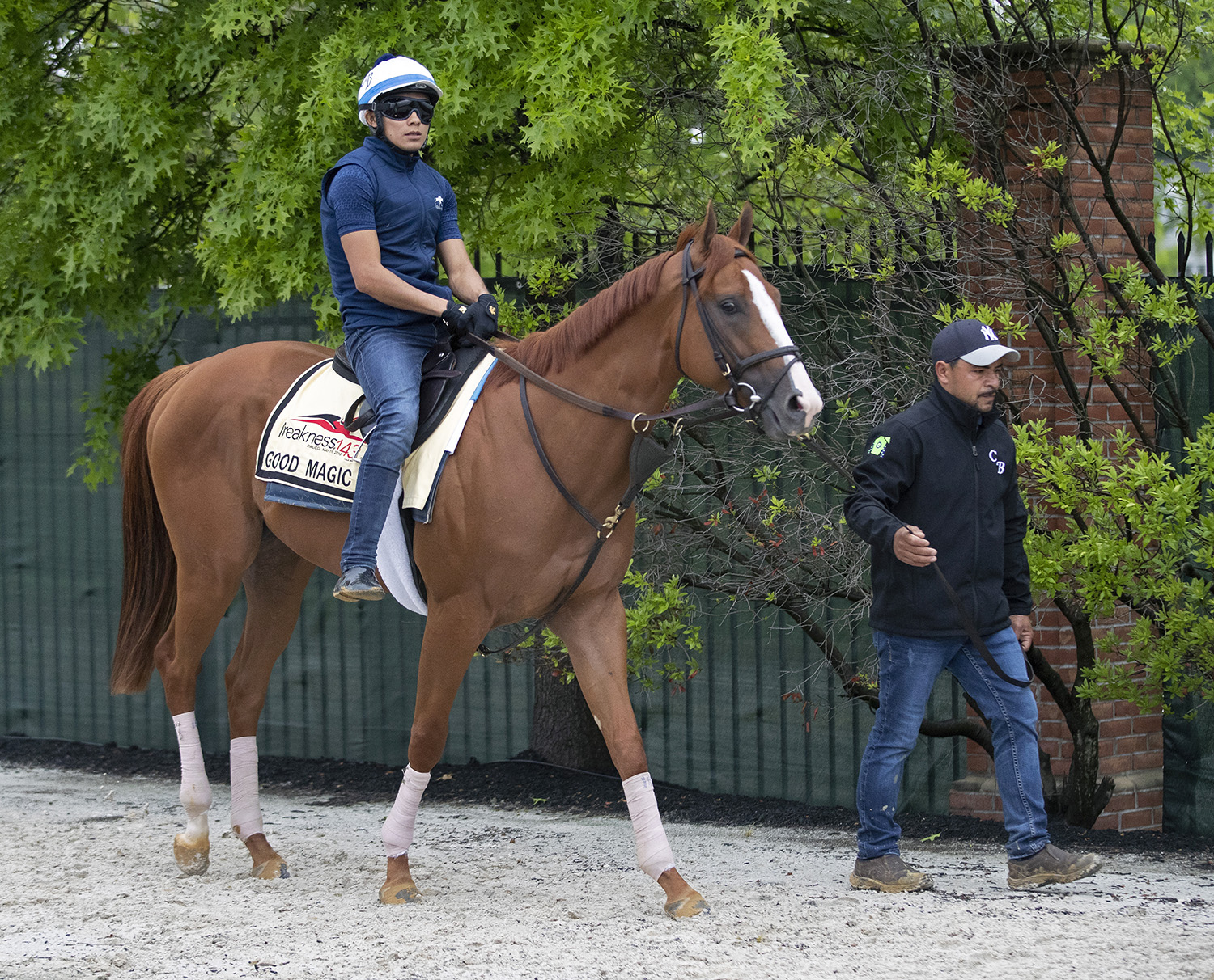 Good Magic at Pimlico on May 16