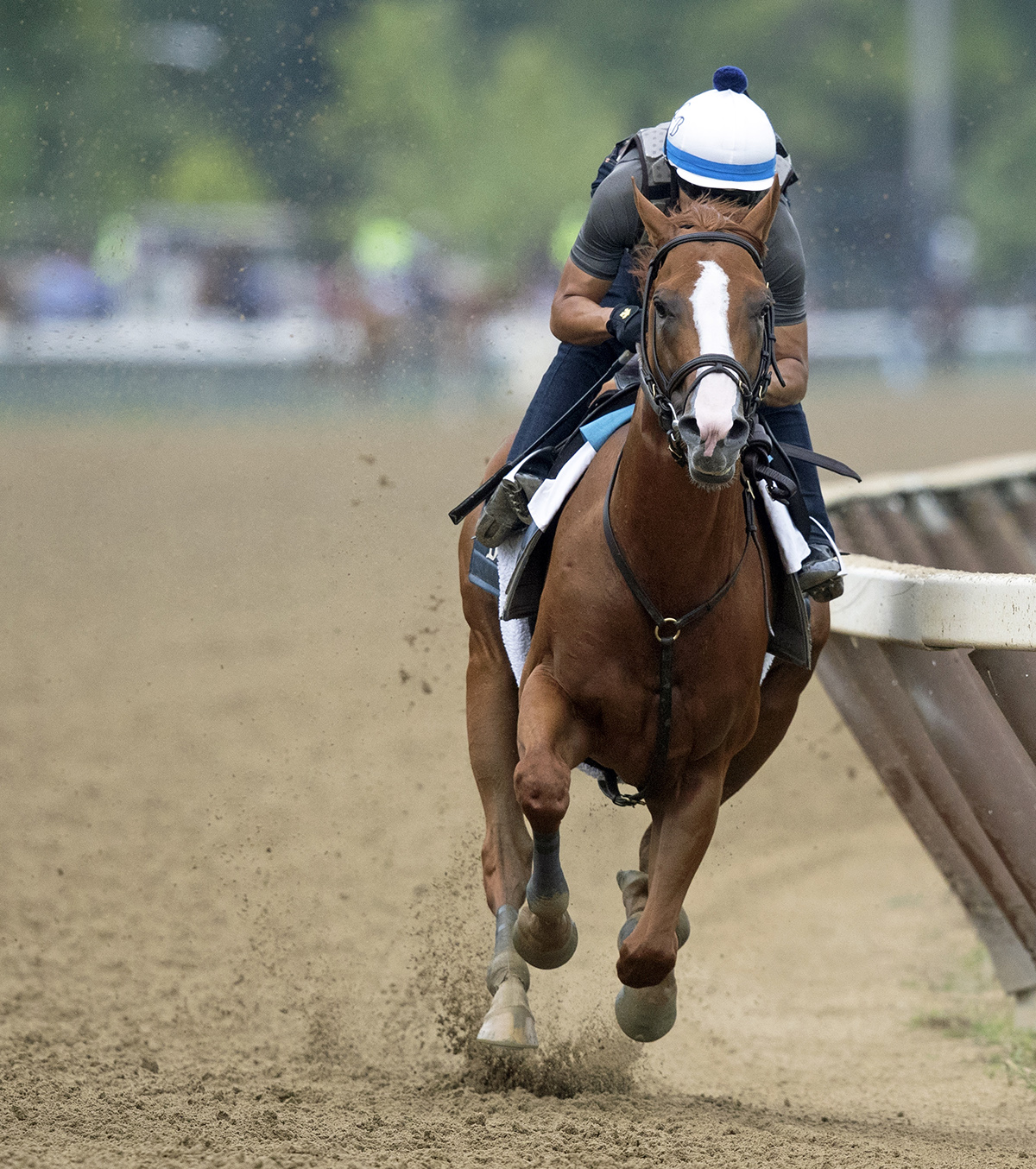Good Magic trains at Saratoga on Aug. 17