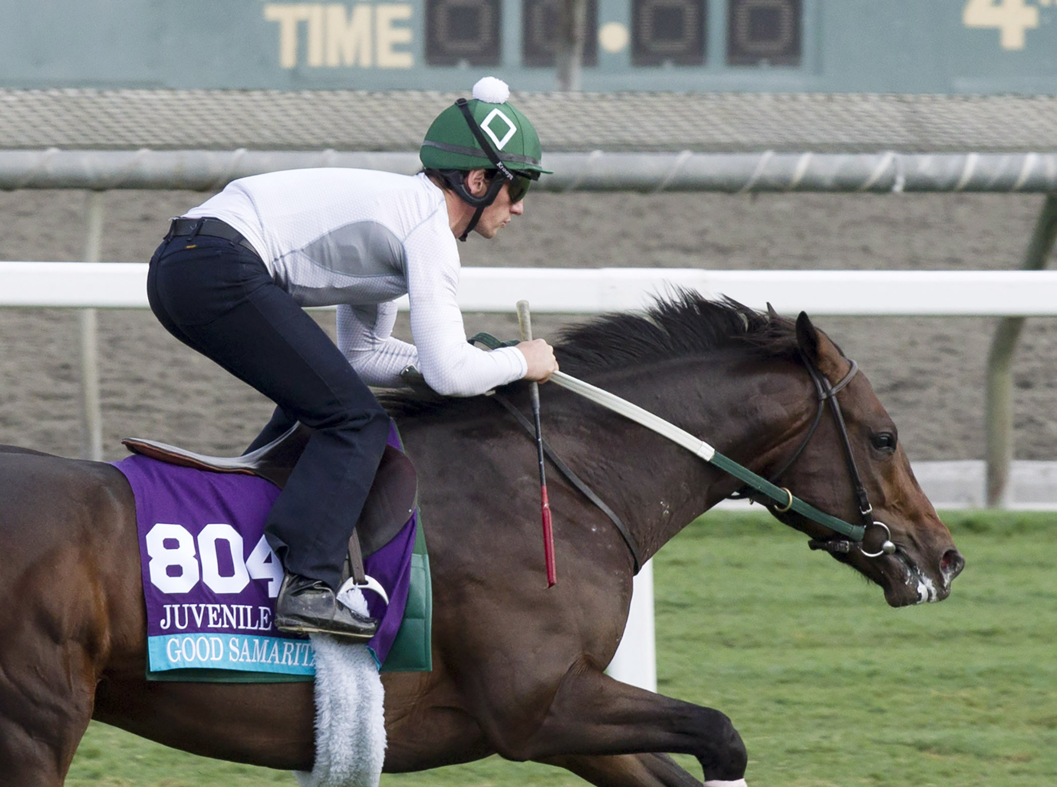 Good Samaritan trains at Santa Anita for the 2016 Breeders' Cup