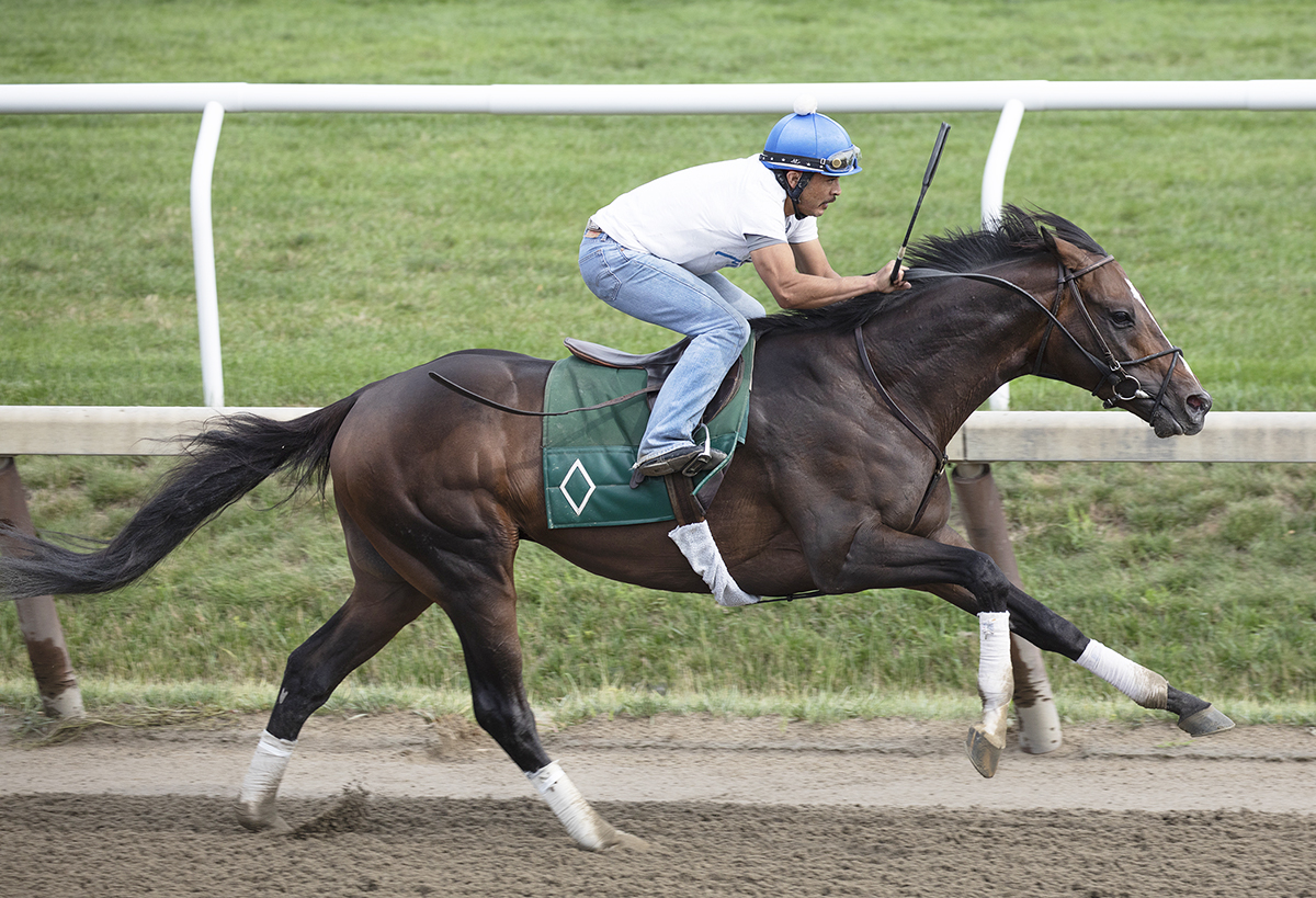 Good Samaritan trains at Saratoga on July 30
