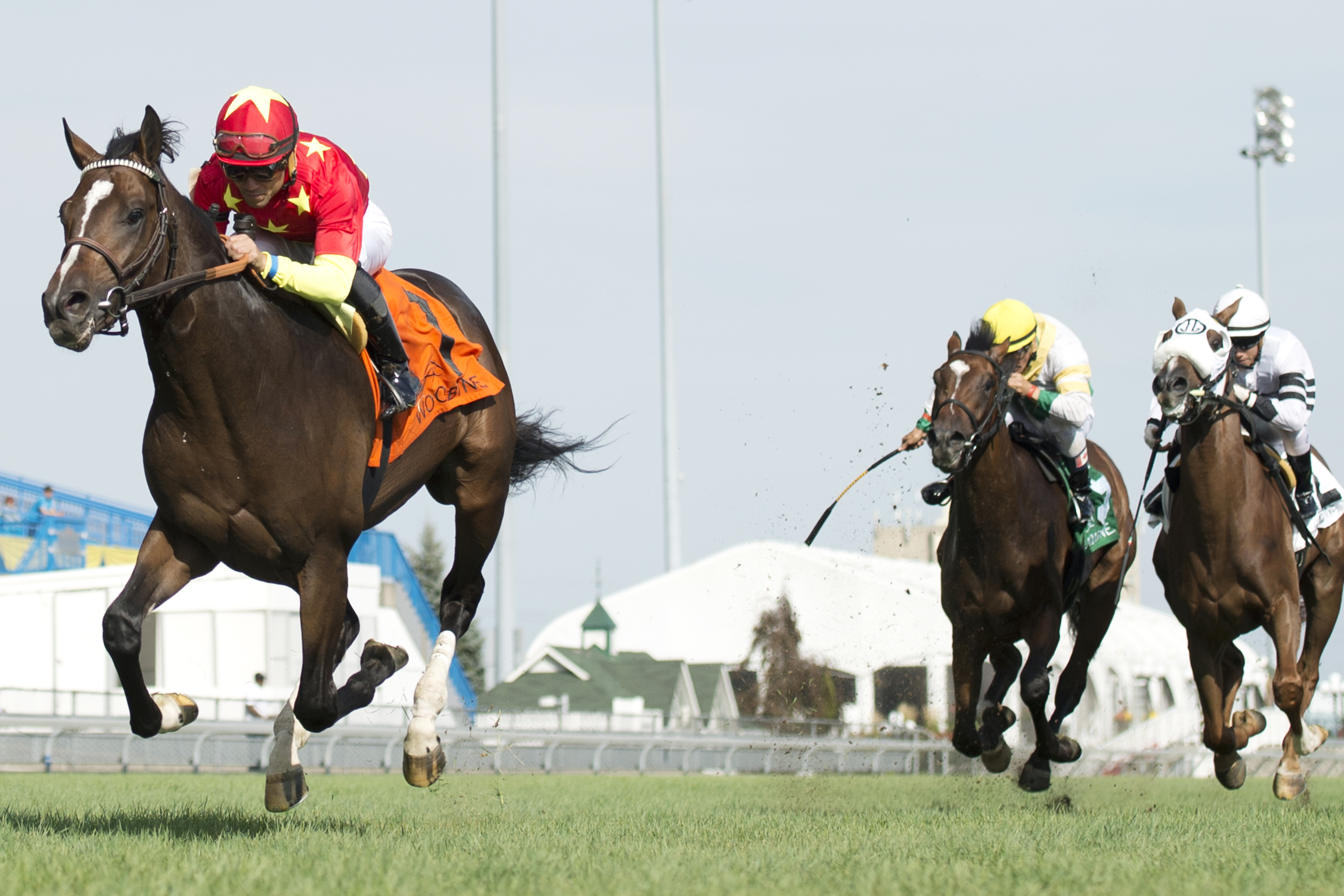 Good Samaritan wins the Summer Stakes