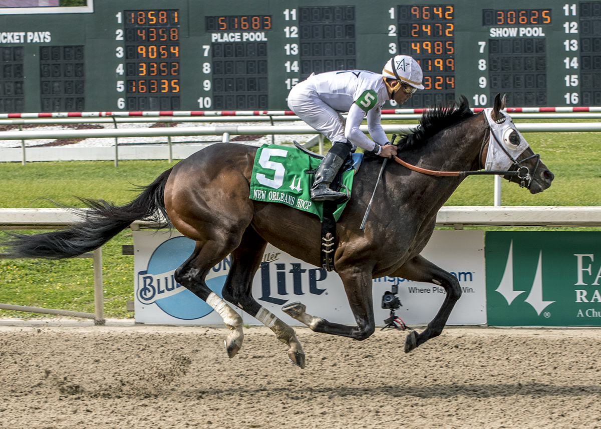 Good Samaritan wins the 2018 New Orleans Handicap