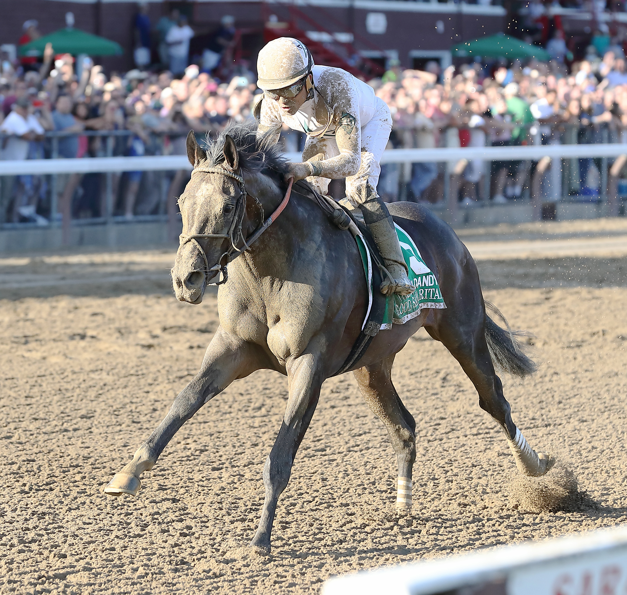 Good Samaritan wins the Jim Dandy Stakes 7.29.17_DRO