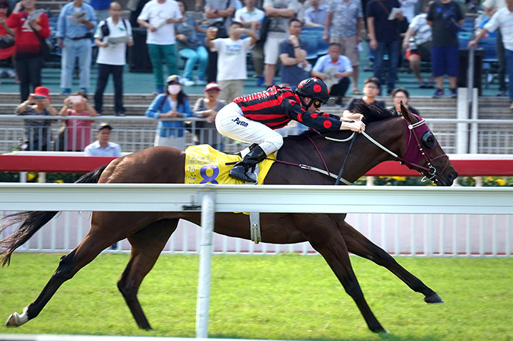 Good Standing wins the 2019 Hong Kong Macau Trophy at Sha Tin